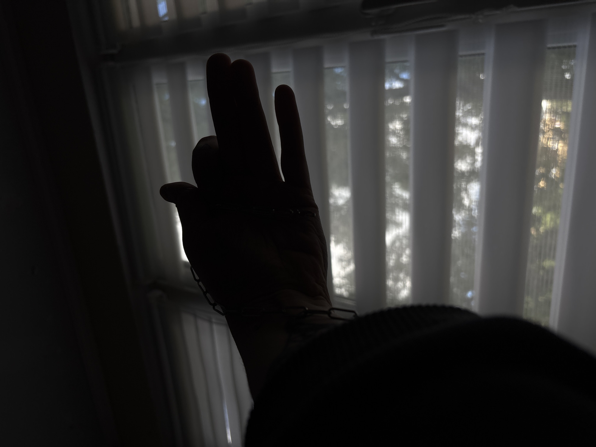 A silhouette of a hand forms a dog-like shape against a background of horizontal blinds. The hand is positioned to the left of the frame, with the thumb and index finger extended upwards to create the "ears" and muzzle of the dog. The other fingers are curled downwards. A thin, dark chain or bracelet is visible on the wrist of the hand. The blinds are white and appear to be partially open, allowing light to filter through from behind. Through the gaps in the blinds, the blurred shapes of trees and foliage can be seen, suggesting an outdoor environment. The overall lighting is dim, with the hand and the immediate foreground cast in deep shadow. The scene does not contain any specific elements that would indicate a location in Saint Petersburg, Russia.