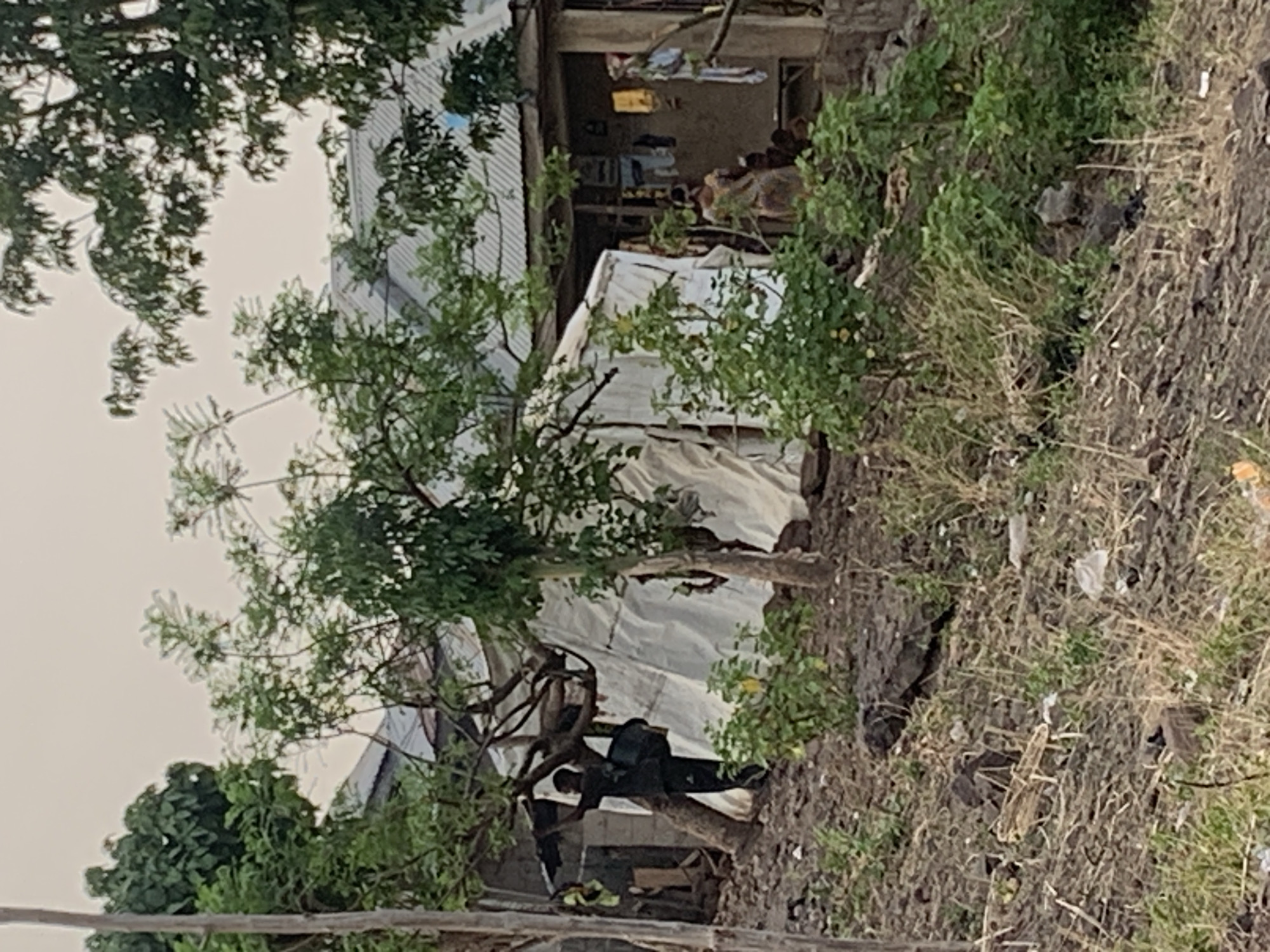 A daytime outdoor shot depicts a cluttered environment likely in Lokoja, Nigeria. A person is seen on a tree branch in front of a building or makeshift shelter, perhaps interacting with the structure. The surrounding area shows signs of vegetation and debris on the ground. The building has a corrugated metal roof.