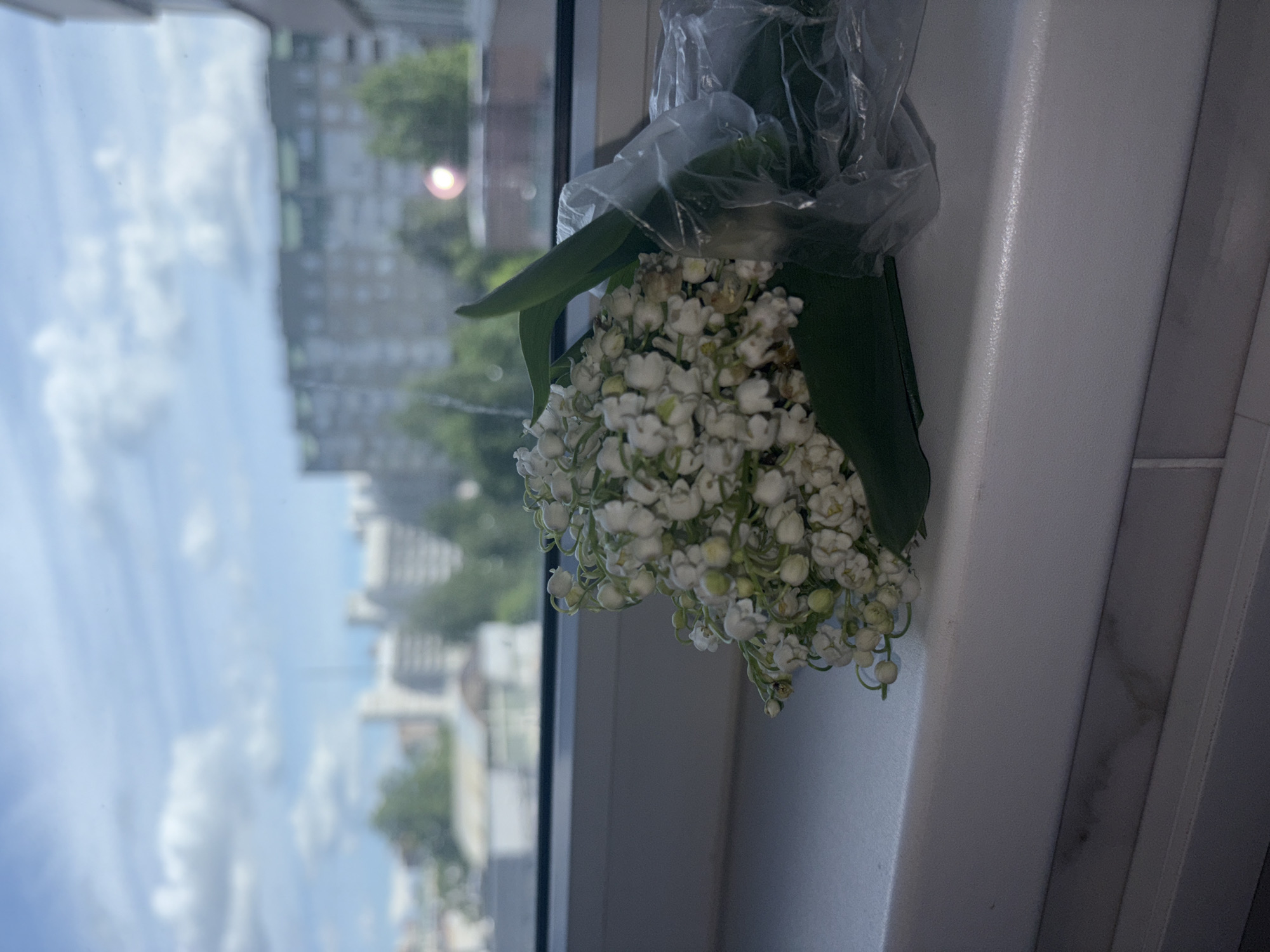 The image, which appears to be rotated 90 degrees clockwise from its natural orientation, captures a bouquet of white flowers, likely lily of the valley, resting on a white window sill. The flowers, characterized by their numerous small, bell-shaped blossoms, are partially encased in clear plastic wrap and are positioned on the right side of the frame, contrasting with the outdoor scene visible through the window.
Through the window, a bright, cloudy daytime sky fills the left side of the composition, showing fluffy white clouds against a light blue backdrop. Below the sky, an urban landscape unfolds with multi-story buildings and dense green trees. One building displays a distinct pattern of vertical dark and light panels. A bright circular lens flare or reflection is noticeable among the distant buildings.
The window sill, appearing as a vertical element on the right due to the image rotation, is a plain white surface with a slight textured finish. The lily of the valley flowers themselves show various stages of bloom, with some buds and fully opened flowers, along with vibrant green leaves beneath the plastic. No human subjects or discernible activities are depicted. The scene conveys a tranquil, everyday moment in an urban setting, consistent with the given context of Saint Petersburg, Russia. There is no visible text in the image.