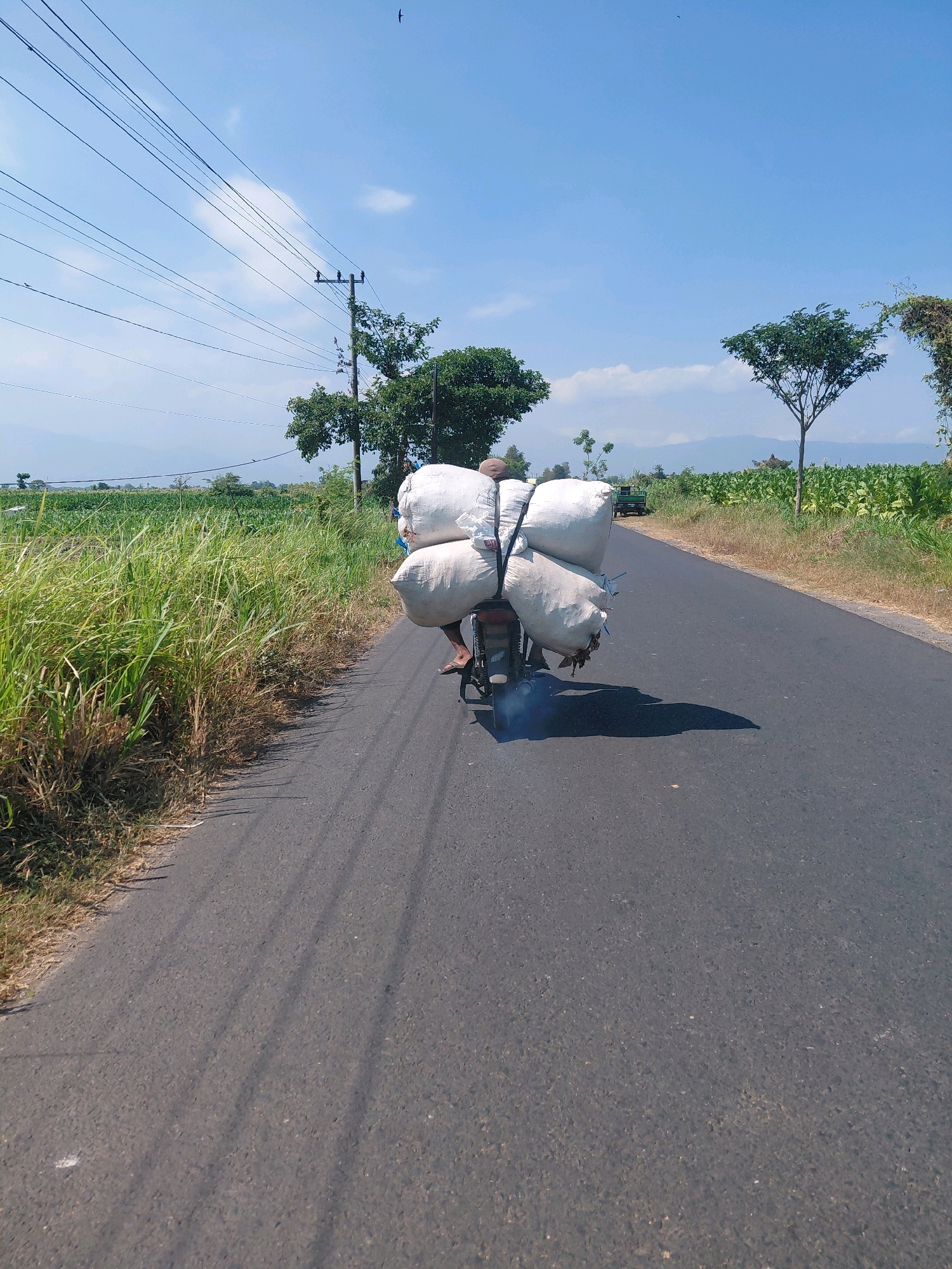 In Jabung Sisir, Indonesia, a person on a motorcycle transports large, white sacks piled high on the back of the vehicle. The motorcycle is traveling on a paved road, with a field of tall, green grass to the left and a tobacco field to the right. Power lines run overhead, and trees dot the landscape. In the background, mountains are visible under a clear blue sky with scattered clouds. The motorcycle is emitting a visible puff of blue smoke from its exhaust.