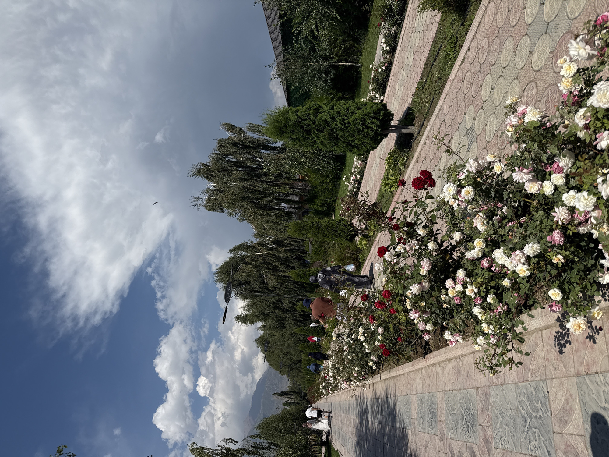 The image shows a paved walkway in a park-like setting, lined with rose bushes featuring red and white blooms. Several people are walking along the path. In the background, there are trees, a distant mountain range, and a cloudy sky. The location is identified as Sary-Oy, Kyrgyzstan. The scene appears to be a public park or garden on a clear day with some cloud cover.