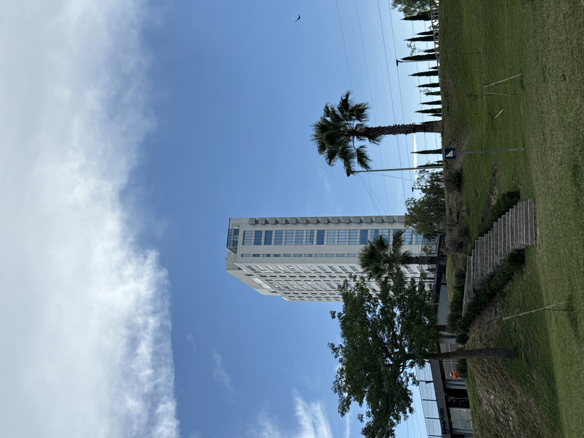 The image depicts a tall, light-colored building under a blue sky with scattered clouds. A palm tree and other foliage are present near the building. A grassy hill with steps leading upwards is visible on the right side of the frame. In the background are more thin trees. Overhead wires are also visible against the sky. The image appears to be taken in San Bernardino Tlaxcalancingo, Mexico, based on visual cues.