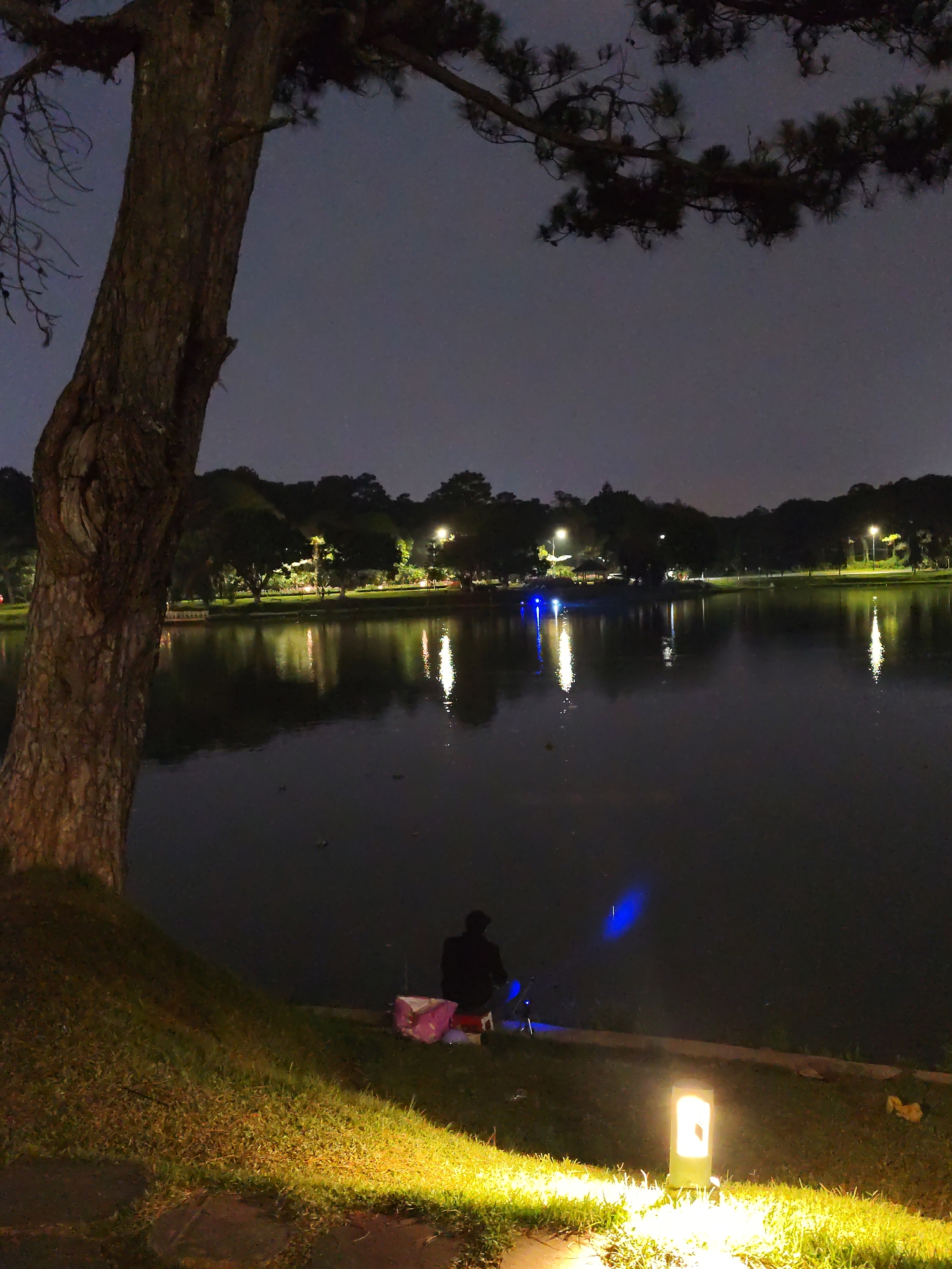 The image depicts a night scene at Xuan Huong Lake in Da Lat, Vietnam. A large tree is prominent on the left side of the frame, partially obscuring the view. A person is sitting near the water's edge, possibly fishing, next to a pink container or bag. A lamppost provides illumination in the foreground, while lights from buildings or streetlights are reflected on the lake surface. The environment includes a grassy bank and trees lining the far side of the lake.