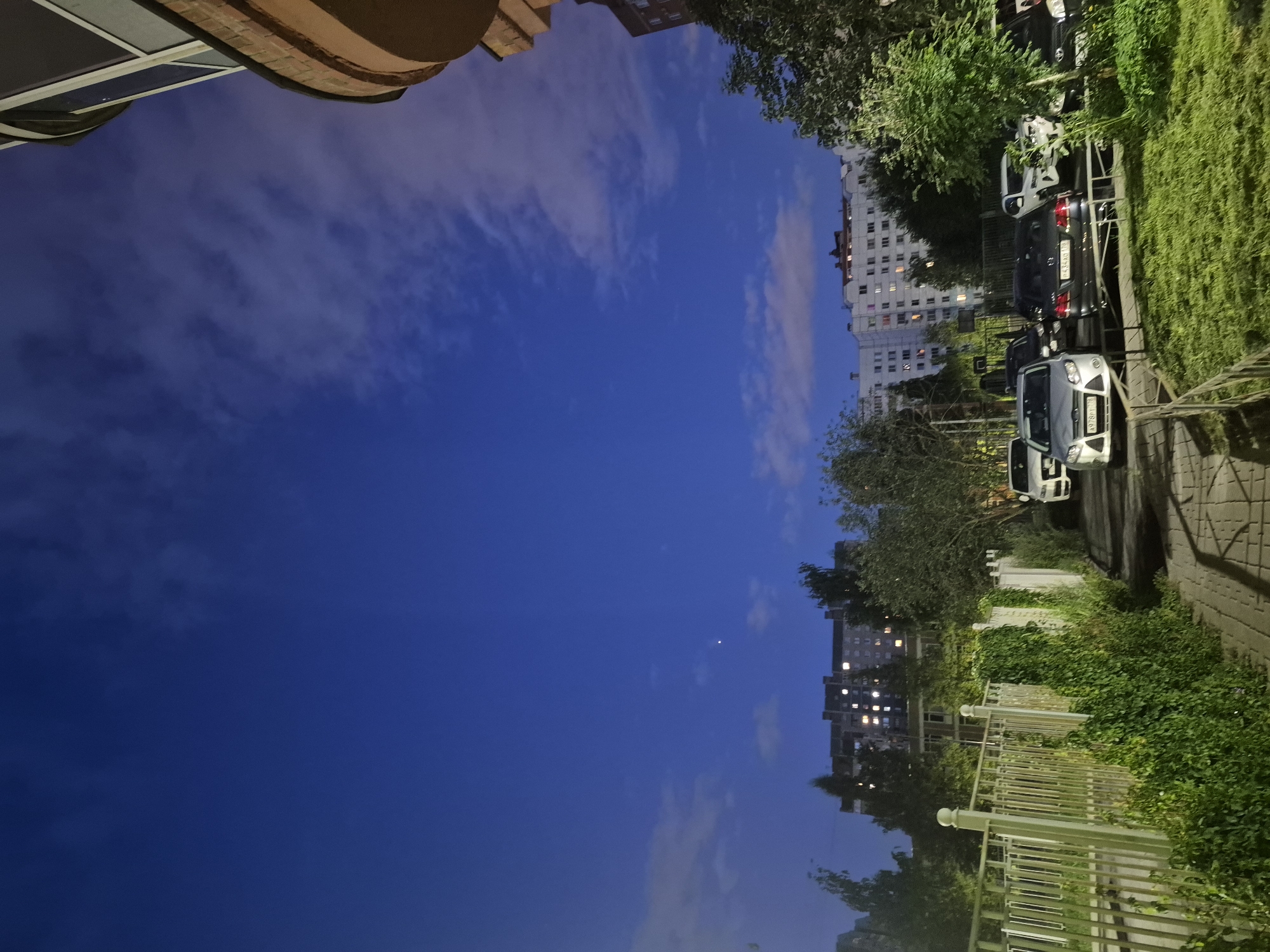 The image depicts a twilight scene in a residential area, likely in Saint Petersburg, Russia, given the architectural style of the buildings and the license plates visible on the cars. The sky is a deep blue, with scattered clouds illuminated by the fading daylight and the lights from the apartment buildings.
In the foreground, a paved walkway runs alongside a white metal fence covered with dense green ivy. Beyond the fence, a grassy area is visible. A row of parked cars lines the walkway, including a silver Ford Focus, a dark Mercedes-Benz, and a white SUV. The windows of the apartment buildings in the background are lit, indicating that it is evening. The architecture of the buildings is characteristic of Soviet-era apartment blocks. A curved section of a modern building is visible in the upper right corner of the image. The overall impression is one of a typical urban residential environment at dusk.