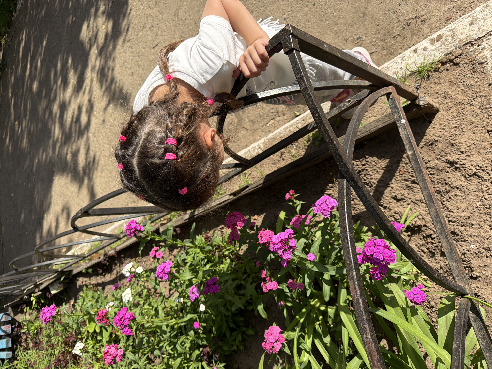 A young girl with braided hair is looking at pink flowers next to a black metal fence in Chaikovsky, Russia. She is wearing a white t-shirt and gray pants. The flowers are in bloom and growing in a garden bed. The ground is dirt and gravel. There are shadows on the ground from trees. The sun is shining.