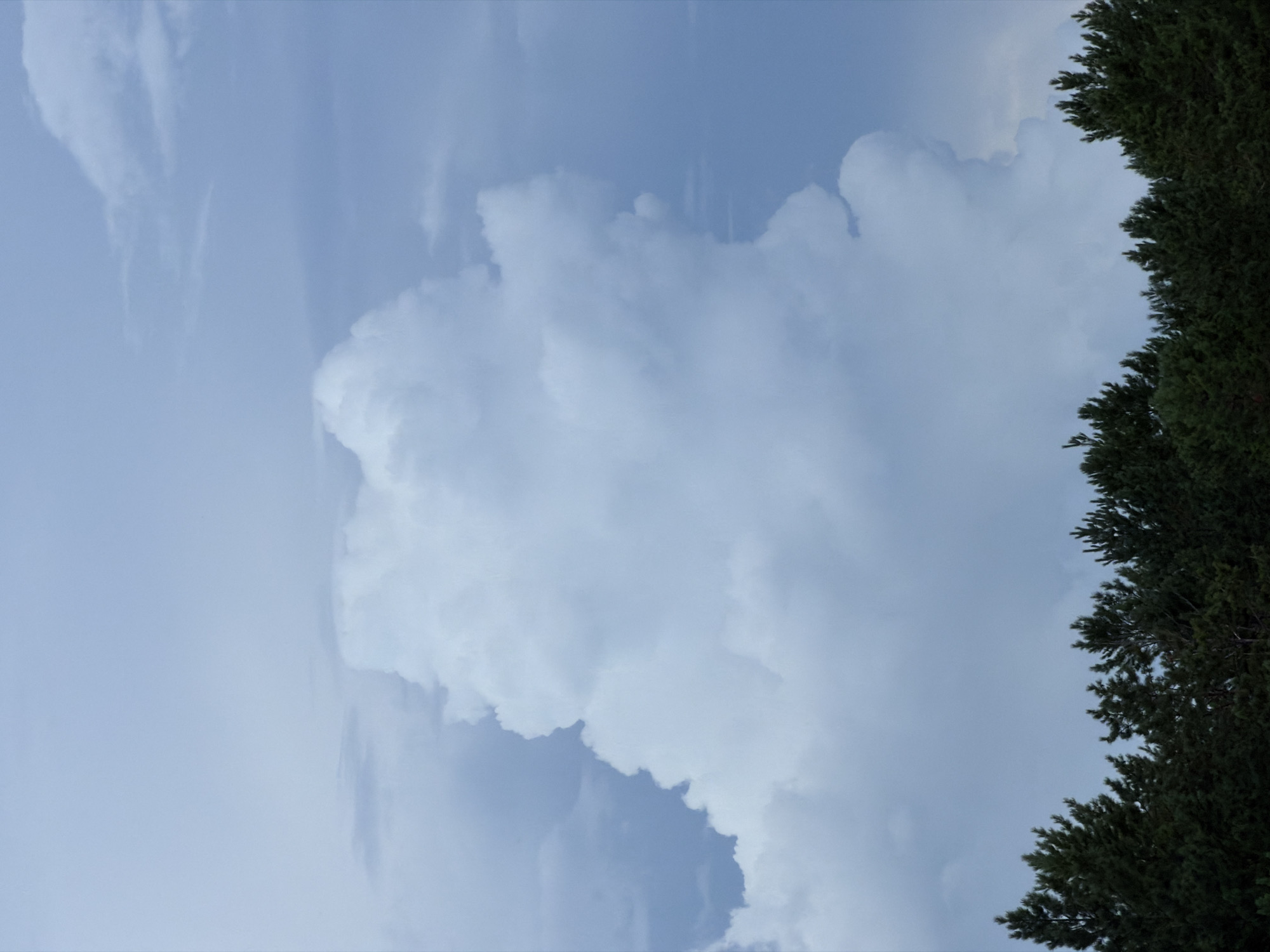 The image depicts a landscape scene with a dense line of dark green pine trees in the foreground, forming a horizon against a pale blue and gray sky. Dominating the upper portion of the image is a large, fluffy white cumulus cloud formation. The sky is partly overcast with softer, wispy clouds visible in the background. The overall lighting suggests a daytime scene, possibly before or after a storm due to the dramatic cloud formations. The location is Tsiolkovsky, Russia. There are no people or discernible actions in the image; it is a static environmental shot.