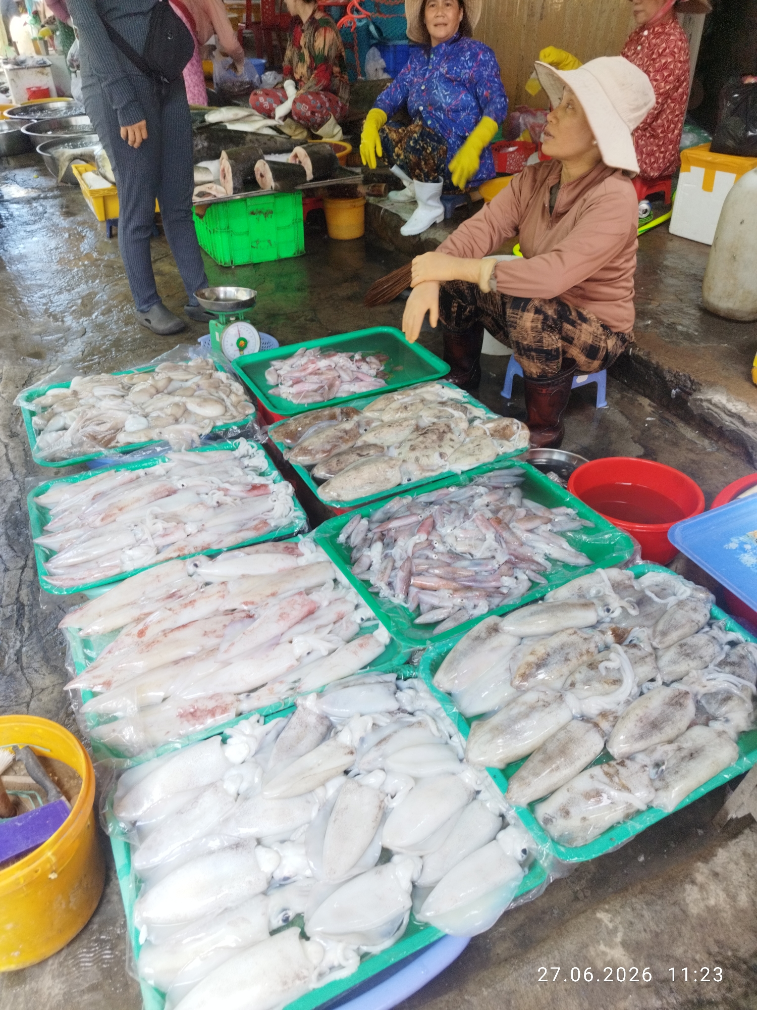 This image depicts a bustling seafood market, likely in Phan Thiết, Vietnam, a city renowned for its fishing industry. The scene is characterized by the presence of various fresh seafood, primarily squid, displayed in green plastic trays on a wet, concrete floor.
In the foreground, several large trays overflow with different types of squid. Some are whole and have a pinkish hue, while others appear smaller and lighter in color. One tray in the upper left contains smaller, rounder squid. To the left of the seafood, a yellow plastic bucket is visible, containing what appears to be cleaning supplies or ice.
Further back, several individuals are present. A person in dark pants and a grey top is standing near a scale and a green tray. Two women are seated on the ground, one in a blue patterned shirt and yellow gloves, the other in a light brown long-sleeved shirt and a wide-brimmed hat, also wearing gloves. Both are surrounded by seafood. Another woman in a red and white patterned top is visible in the background, also wearing a hat. The overall environment suggests a commercial setting, with damp floors and the overall appearance of fresh produce being handled. The timestamp at the bottom right indicates the image was taken on June 27, 2026, at 11:23 AM.