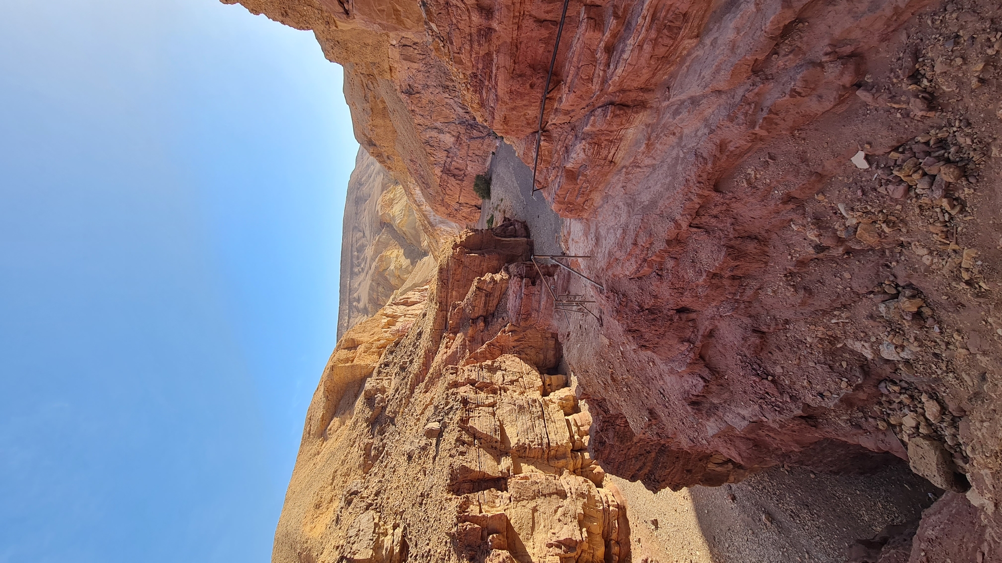 The image depicts a narrow canyon or gorge in Hevel Eilot Regional Council, Israel. The canyon walls are composed of reddish-brown rock formations. A section of the canyon has metal rungs or ladders bolted into the rock face, suggesting a climbing or hiking route. A small tree or bush grows in the canyon floor. The sky is clear blue and the sun is shining, casting shadows within the canyon. The orientation is vertical, as the blue sky is on the left.