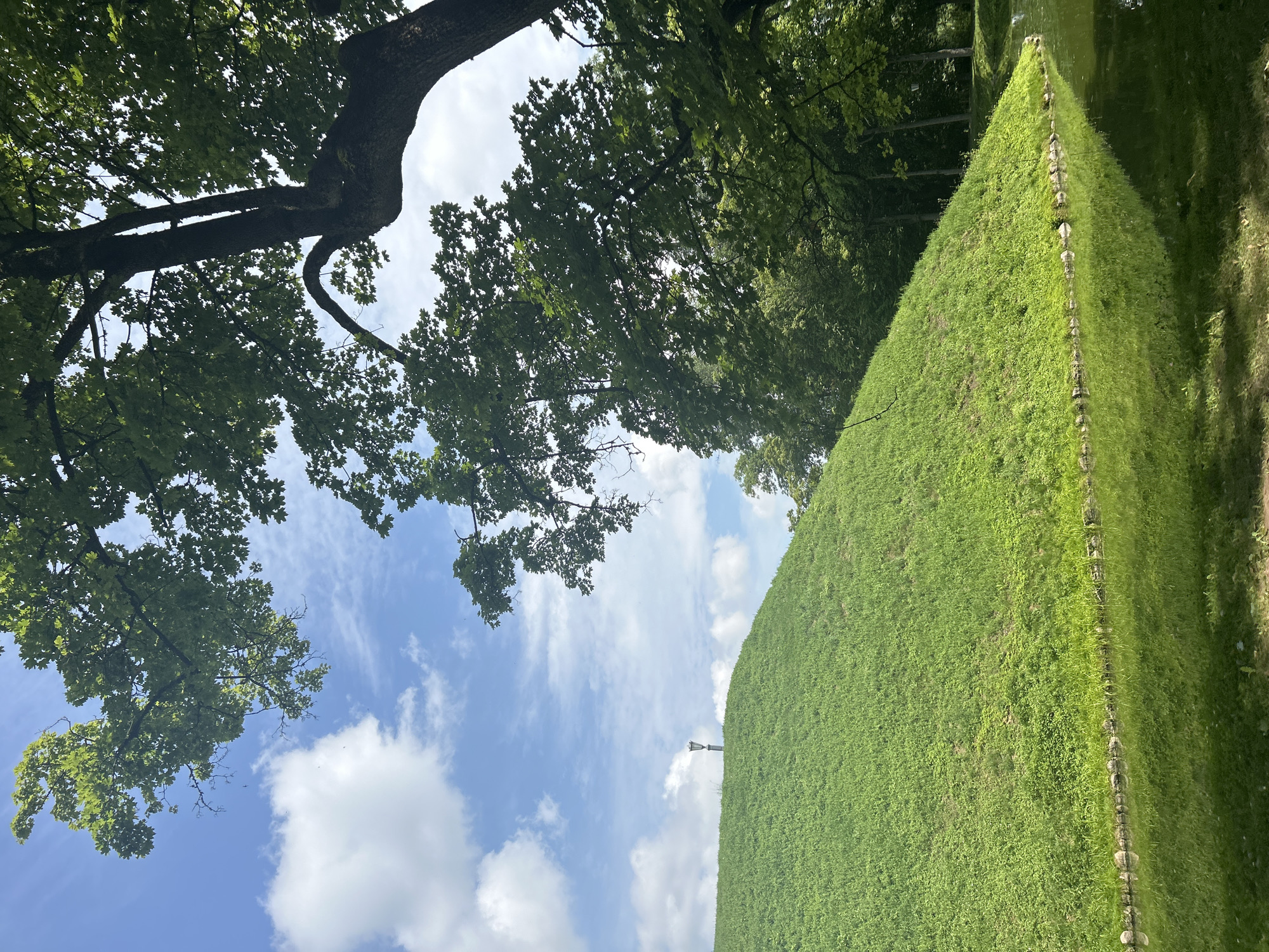 The image depicts a scenic view of a lush green mound, possibly an artificial hill or a part of the landscape architecture, in the city of Niasvizh, Belarus. The mound is covered in vibrant green grass and vegetation, with a body of water reflecting the greenery in the foreground. A stone border separates the grass from the water. At the very top of the mound, a solitary lamppost stands, silhouetted against the bright blue sky dotted with fluffy white clouds. In the upper right portion of the image, the dense green foliage of a large tree partially obstructs the view of the sky, with its branches reaching out over the scene. The overall impression is one of a tranquil park-like setting bathed in sunlight.