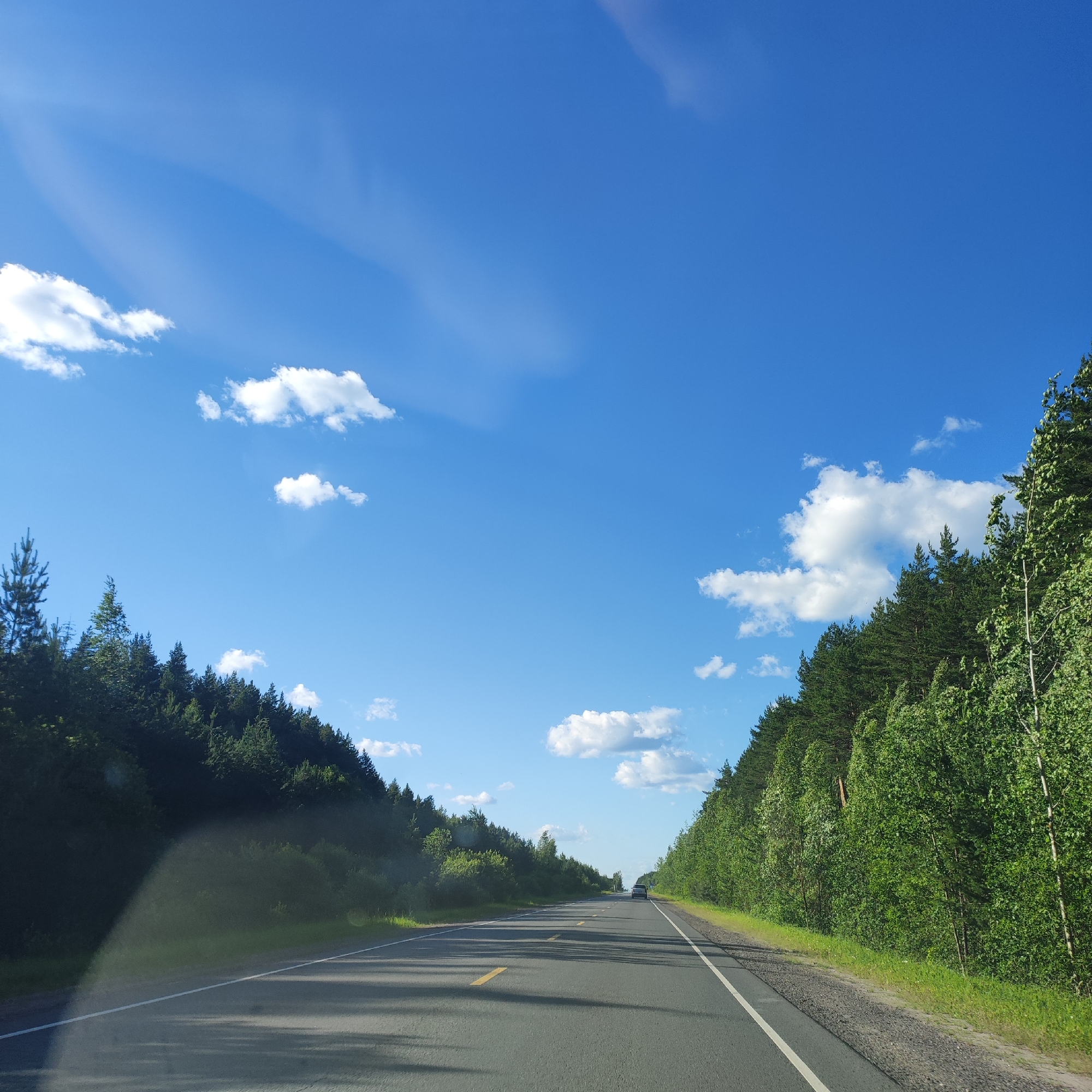 This is a photograph taken from a vehicle driving on a two-lane asphalt road that cuts through a dense, green forest. The sky above is a vibrant blue with scattered white clouds, some of which are wispy and stretched, suggesting a light breeze. The road has a solid white line marking the right edge and broken yellow lines indicating the center divide. Shadows from the trees cast diagonal lines across the asphalt. On either side of the road, the forest is lush and full of trees, with a thick undergrowth of smaller bushes and grass along the roadside. The trees on the left appear slightly darker and more densely packed, with some taller, pointed evergreen trees interspersed with deciduous ones. The trees on the right are also dense and green, with some taller, lighter-colored birch trees visible among the darker foliage. In the distance, a dark-colored car is visible traveling in the same direction as the camera. The overall scene depicts a serene, natural landscape with a road facilitating travel through it. While the exact location within Kineshma, Russia cannot be definitively determined from the image alone, the characteristic dense forests and road infrastructure are consistent with rural or semi-rural areas surrounding the city.