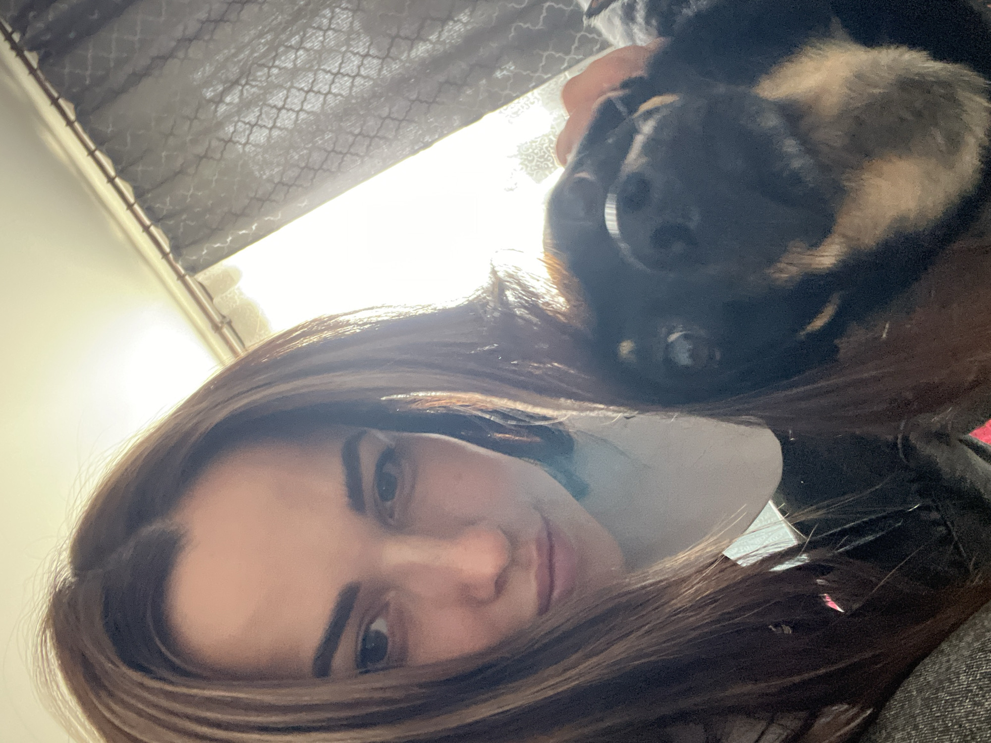 A woman with long brown hair holds a sleeping puppy with black and tan markings. The background includes a patterned grey window shade and a wall with bright light shining through.