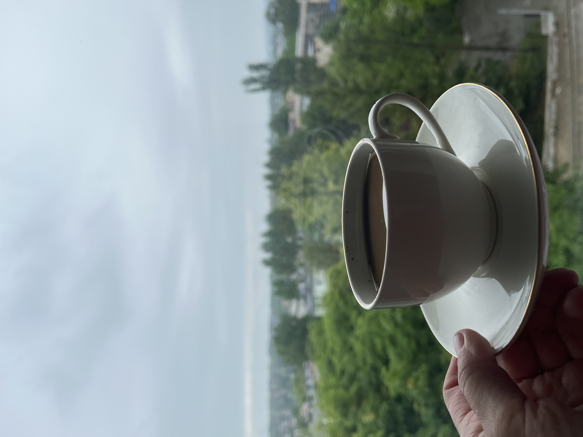 A white ceramic coffee cup, filled with dark liquid, rests on a matching saucer with a thin gold rim. The cup and saucer are held by a hand with visible fingerprints, which is positioned in the foreground. Behind the hand and coffee cup, a blurred cityscape unfolds. Numerous green trees dominate the mid-ground, interspersed with buildings of varying sizes. The sky above is overcast, with a pale, hazy light. The overall scene suggests an indoor setting looking out a window onto a temperate, possibly humid day in an urban environment.