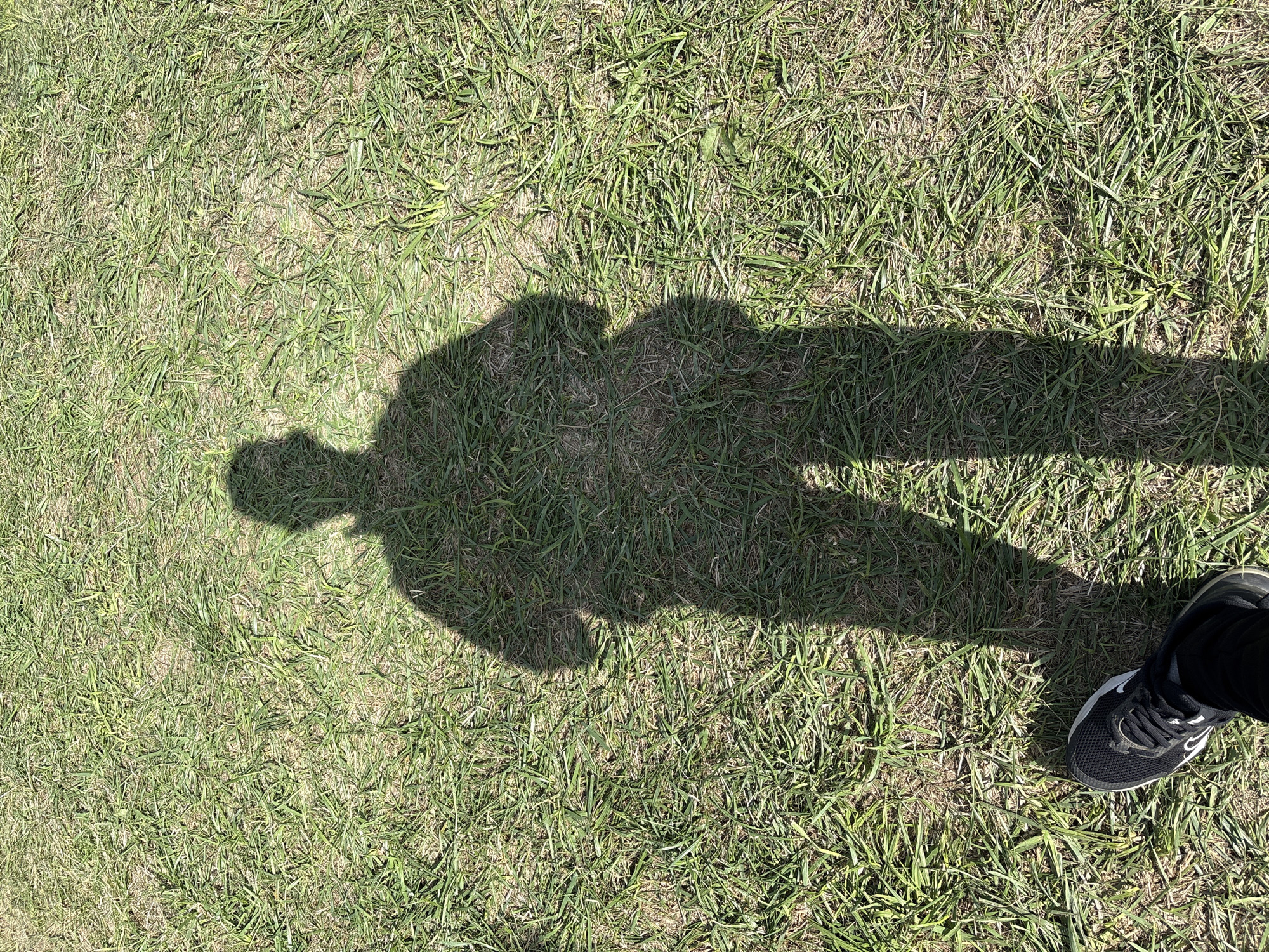 A shadow of a person wearing dark pants and a black and white athletic shoe is cast on a grassy area. The shadow appears to be standing with hands on hips. The grass is dry and sparse in places, suggesting a sunny environment. The image is taken from a top-down perspective. No specific landmarks or context to place it in Cheb, Czechia are visible.