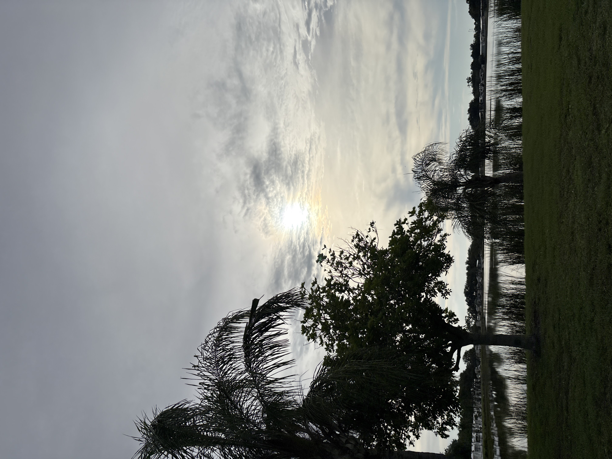 The image depicts a serene waterscape scene under a cloudy sky with the sun peeking through. In the foreground, a well-maintained grassy area is visible, leading to the edge of a calm body of water. The water is bordered by tall reeds and grasses, with several trees silhouetted against the sky. These include a large palm tree on the left, a deciduous tree in the center, and another smaller palm tree to the right of the deciduous tree. Across the water, a line of trees and what appear to be RVs or mobile homes are visible along the horizon. The overall impression is one of a tranquil park or campground setting. The scene is likely in the city of Bradenton, United States, given the prevalence of palm trees and the type of dwelling visible.