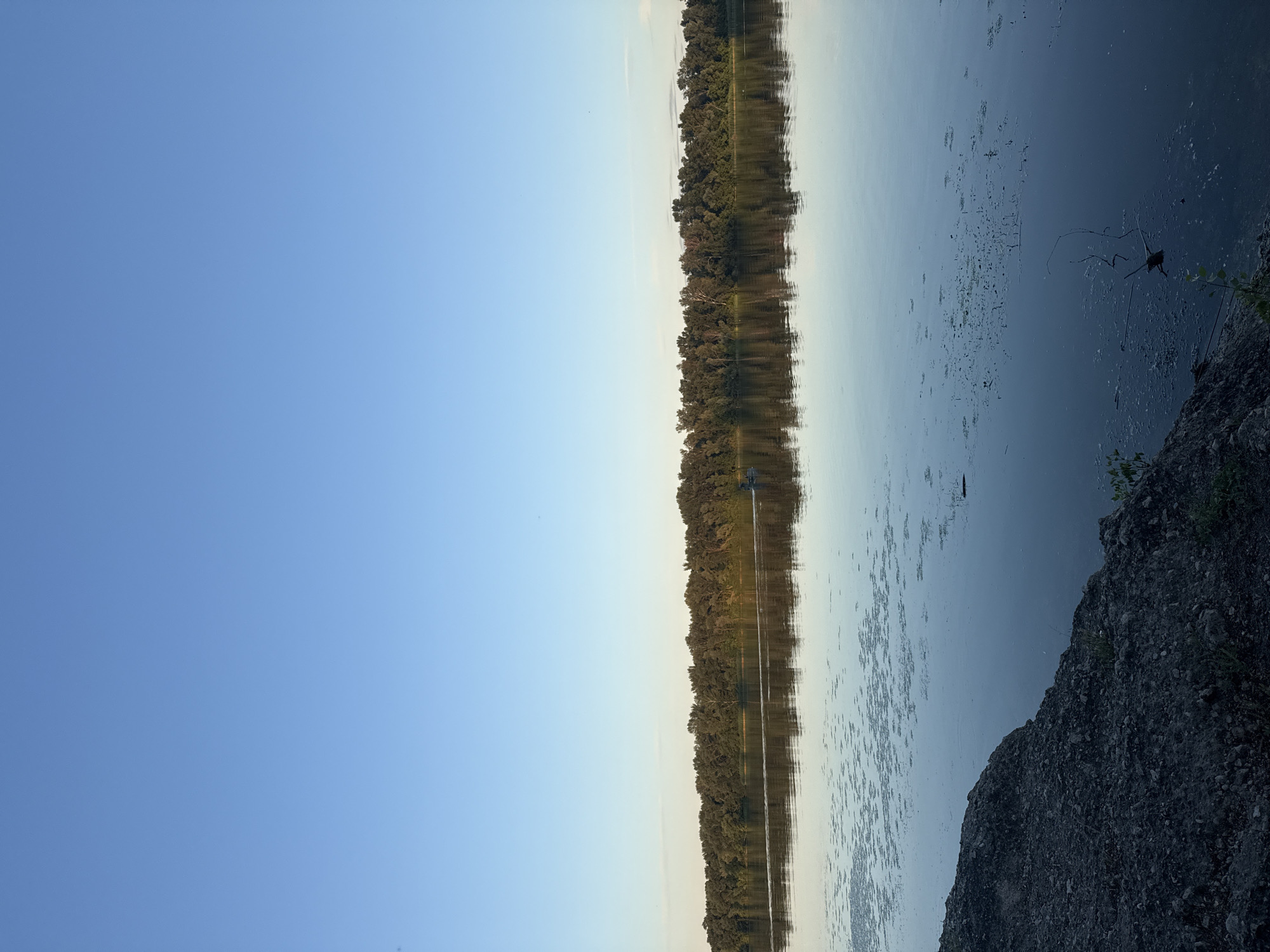 The image depicts a wide, calm river flowing through a natural landscape, likely at dawn or dusk given the soft lighting and clear sky. The foreground shows a rocky embankment, with sparse vegetation growing from it. The river surface is mostly still, reflecting the dense line of trees that forms the opposite bank. These trees are a mix of deciduous species, creating a rich green barrier against the horizon. The sky is a clear, pale blue, with the faintest hint of warmer tones near the horizon. On the river, a small boat with at least one occupant is visible, its wake creating subtle ripples on the water. The scene suggests a tranquil and undeveloped area, likely on the outskirts of a city. The specific location in Dnipro, Ukraine, could be an area along the Dnieper River that retains its natural character, possibly a park or a less developed stretch of the riverbank.
