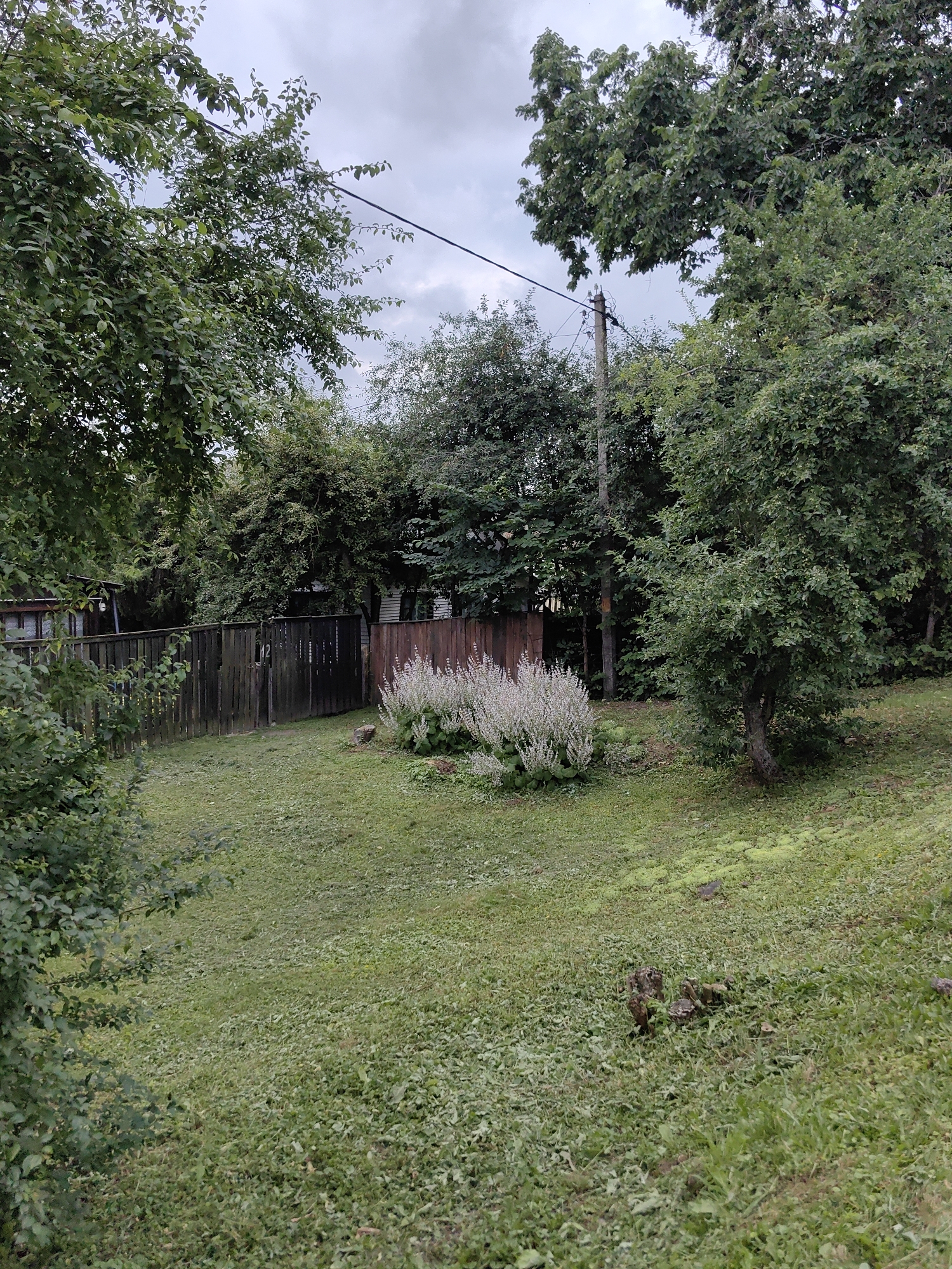The image depicts a backyard scene in Fanipal, Belarus, likely during the daytime on an overcast day. The foreground is dominated by a sloping lawn covered in cut grass. In the midground, a weathered wooden fence with vertical planks runs horizontally across the frame, with a gate visible towards the center. Behind the fence, several buildings with light-colored siding and dark windows are partially visible, suggesting a residential area. To the right of the fence, a cluster of tall, pale flowering plants stands out. Mature trees with dense green foliage surround the property, creating a sense of enclosure and privacy. A power pole with wires is visible in the upper right quadrant of the image, indicating the presence of electricity infrastructure. The overall impression is one of a rural or suburban setting with a slightly unkempt but natural feel. There is no discernible activity or event taking place, and the mood is neutral. A house number, "12", is visible on the fence.