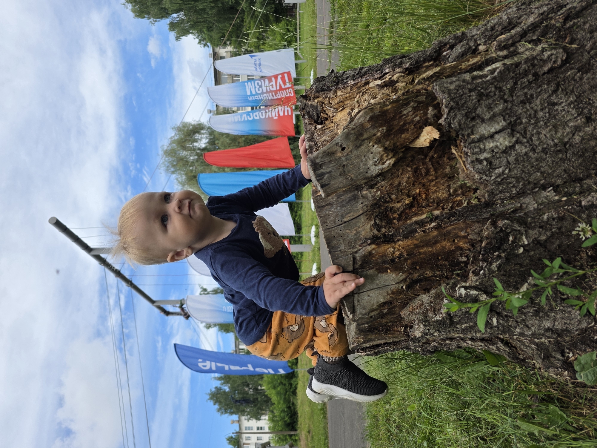 An outdoor, low-angle medium shot captures a toddler on all fours, attempting to climb an old, weathered tree stump. The toddler has blonde hair and wears a navy long-sleeved shirt with a graphic and orange pants with a bear pattern. The toddler's left leg is extended back, with a black and white sneaker visible. The stump is textured and appears to be rotting, with patches of exposed wood.
In the background, a line of tall, colorful flags are visible. From left to right, the flags are: a bright blue flag with white text, a red flag, a blue and white flag with Russian text, and a white flag with blue text. Behind the flags, buildings and trees can be seen under a cloudy blue sky. The setting appears to be a park or outdoor recreational area in the city of Chaikovsky, Russia, given the presence of the flags which may be indicative of a local event or festival. The grass surrounding the stump is green and uncut.