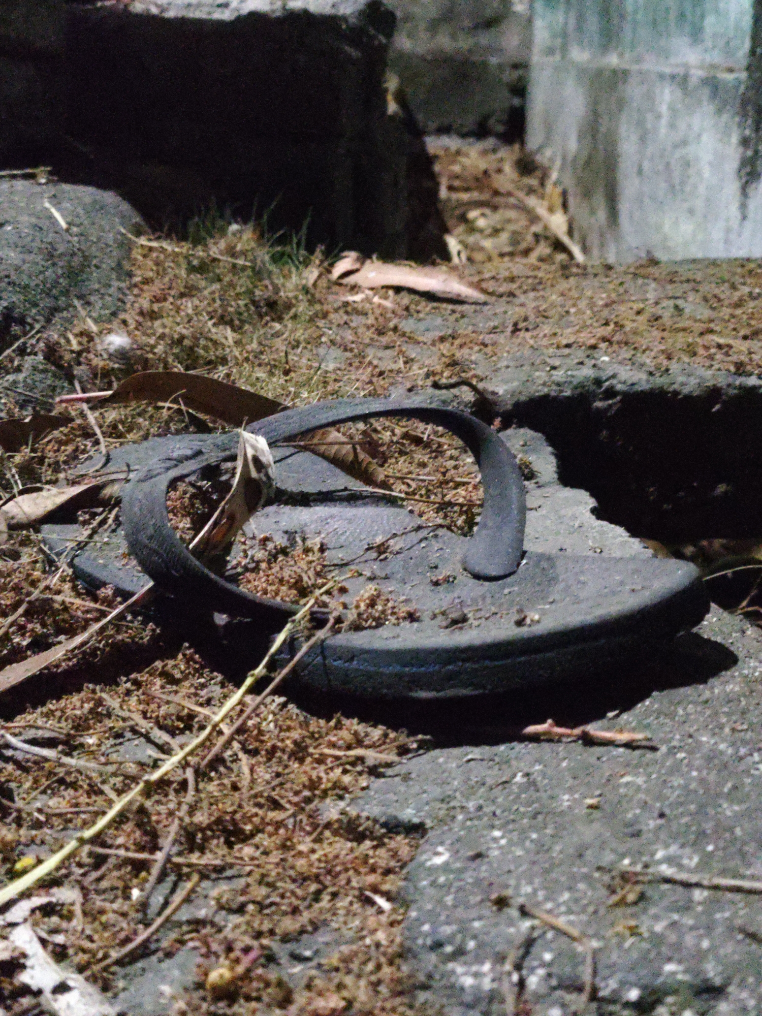 In the city of Bulakrejo, Indonesia, a single, dark-colored flip-flop lies on a rough, stone surface littered with dry leaves and twigs. The flip-flop is positioned at an angle, with its sole facing upwards, revealing a worn texture and some debris clinging to it. A thin strap arches over the sole, also bearing traces of dirt and plant matter. The surrounding environment suggests an outdoor, possibly neglected area, with darker, shadowed surfaces in the background and a concrete-like structure to the right. The lighting appears to be artificial, casting shadows that accentuate the textures of the ground and the object.