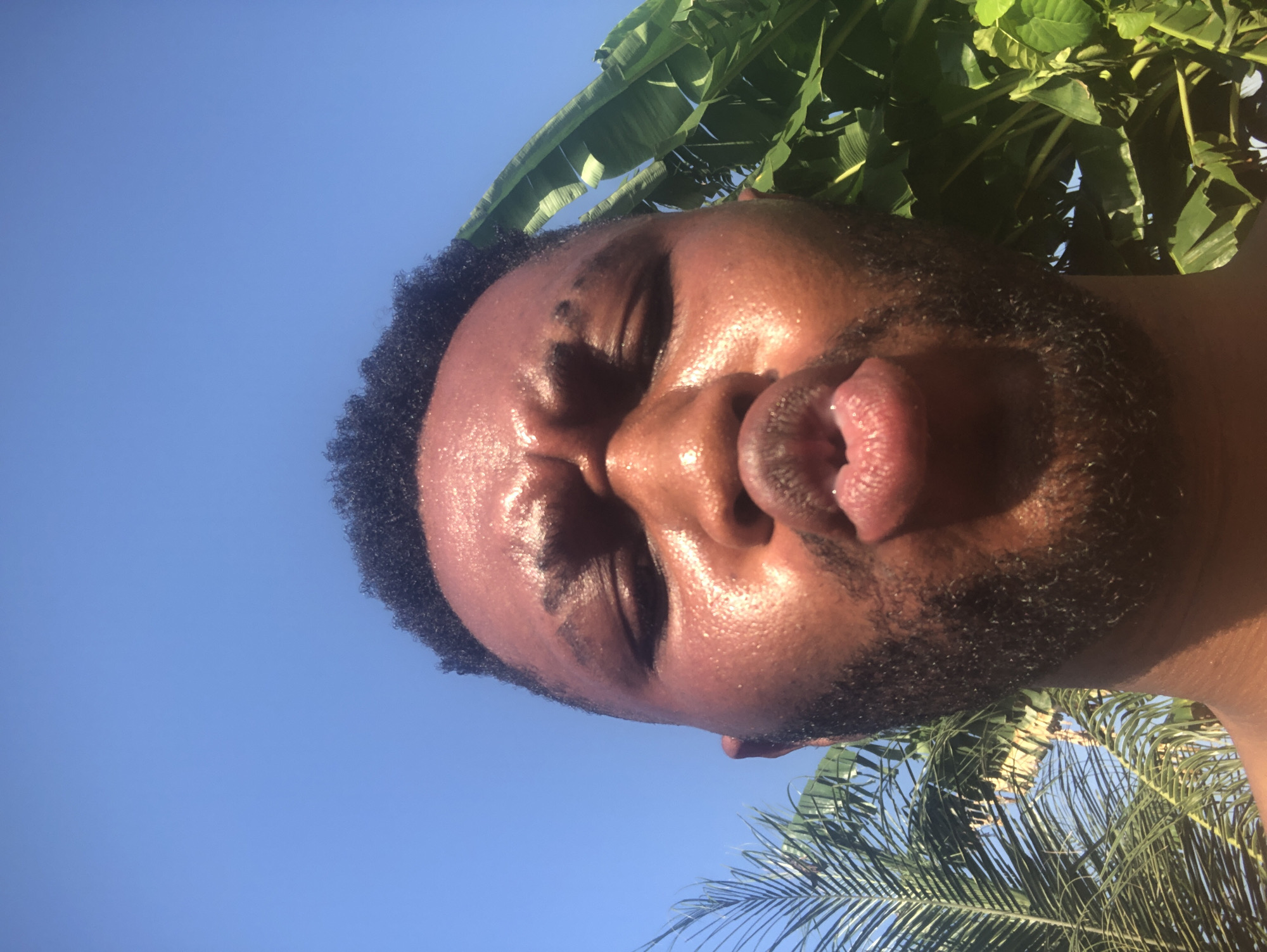 A rotated close-up portrait shows a person outdoors under a bright blue sky. The individual has dark skin, short curly dark hair, and facial stubble. Their head is tilted upwards, with their eyes closed or squinting against the bright light, and their lips are pursed in a "kissy face" or pouting expression. The skin on their face appears shiny, likely from sweat or the sun's glare.
Above and to the sides of the person's head, vibrant green foliage is visible against the clear sky. This includes large, broad leaves consistent with banana plants and more delicate fronds typical of palm trees, suggesting a warm, possibly tropical or subtropical setting. The clear blue sky and direct, strong lighting indicate a sunny daytime environment, likely midday or early afternoon. There is no visible text in the image.