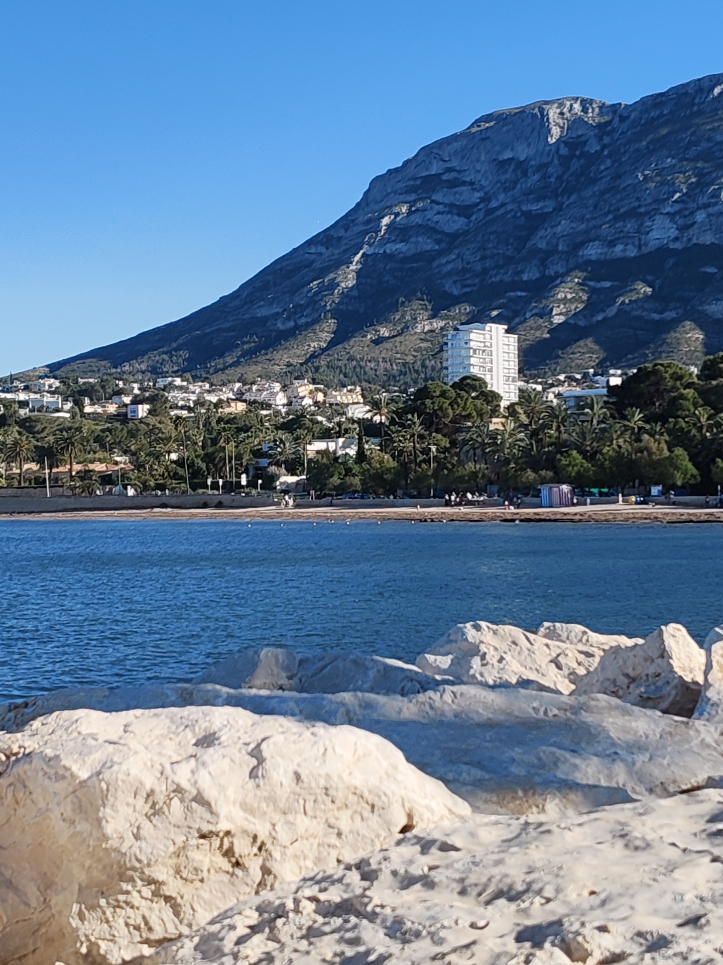 This vertical image captures a vibrant coastal scene in Dénia, Spain, under a clear, cloudless blue sky. In the foreground, large, pale, irregular rocks, possibly part of a breakwater, occupy the lower portion of the frame, showing varied textures and shadows.
Beyond the rocks, the calm, deep blue sea stretches across the mid-ground, its surface gently rippled by a light breeze. A narrow strip of sandy beach separates the water from the land. On the beach, small groups of people are visible, suggesting leisurely activity, and a few colorful beach huts or small structures dot the shoreline.
The background is dominated by a majestic, dark grey, rocky mountain that rises steeply, its rugged terrain showing natural contours and shadows. At the mountain's base, a town extends along the coastline and up the lower slopes. This settlement is characterized by numerous white and light-colored buildings, including houses and a prominent, multi-story white apartment or hotel complex with multiple balconies. Abundant green vegetation, notably palm trees and other lush foliage, is interspersed throughout the town and along the coastal edge.
The scene depicts a sunny day, likely morning or early afternoon, with bright illumination. The overall impression is one of a picturesque Mediterranean resort landscape, combining natural beauty with coastal urban development. There is no visible text in the image.