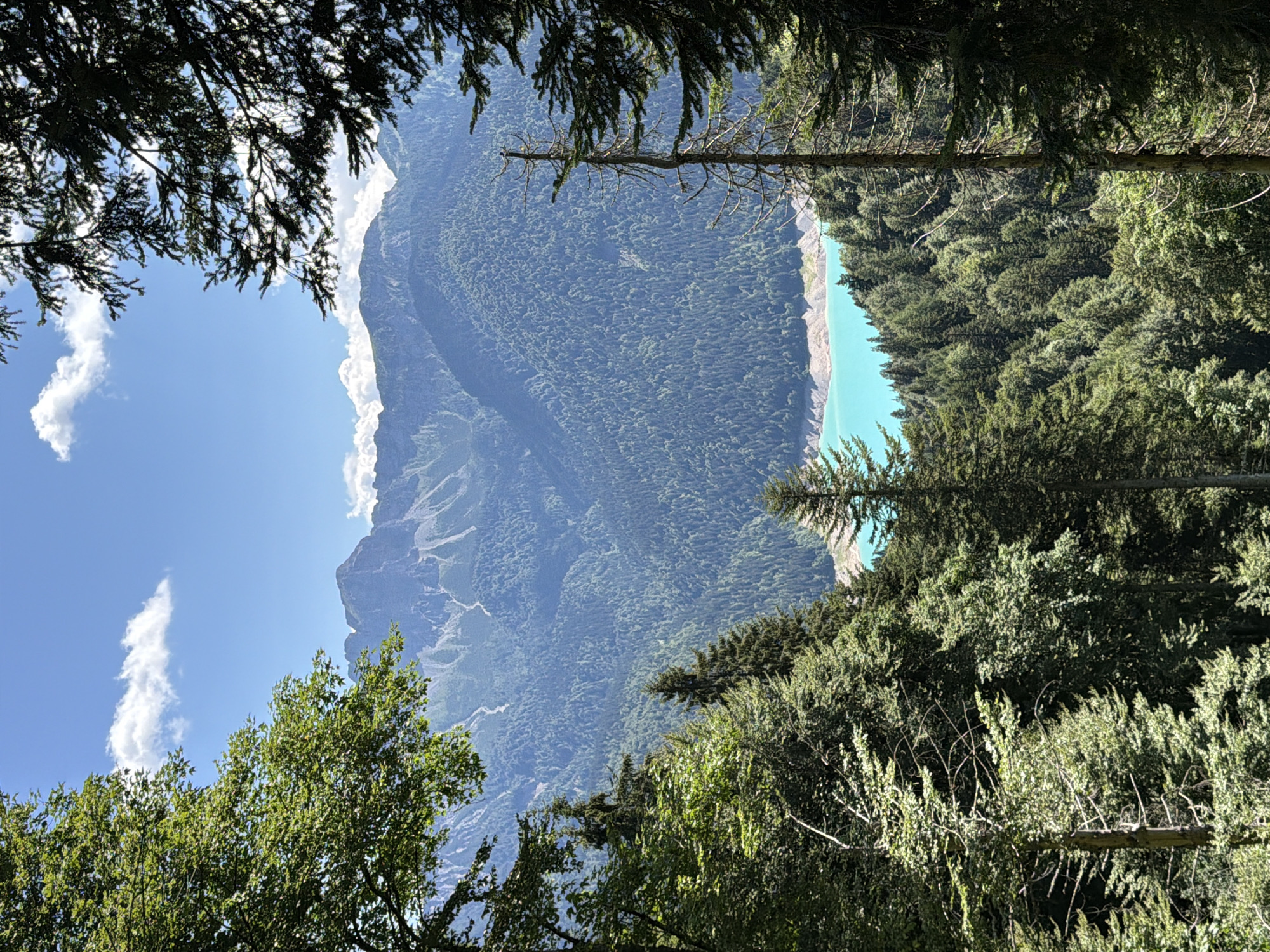 The image depicts a scenic mountain landscape viewed through a frame of trees. In the foreground, the branches and foliage of various trees, primarily evergreens and some deciduous trees, create a natural border on the left, top, and right sides. The trees are lush and green, with sunlight filtering through their leaves.
Beyond the immediate treeline, a vast expanse of mountains stretches into the distance. These mountains are densely covered in a deep green forest, with the texture of individual trees clearly visible. As the eye moves further back, the mountains become more rugged and rocky, with lighter-colored slopes, suggesting bare rock or scree. The highest peaks are jagged and appear to be snow-capped or at least very high altitude, with a stark, rocky appearance.
A striking feature of the landscape is a bright turquoise lake visible in the middle ground, nestled within the forested valleys. The water is a vibrant, almost artificial-looking blue-green, contrasting sharply with the surrounding greenery. The lake's edge is lined with trees and some visible shore.
The sky above is a clear, bright blue with a few scattered white, puffy clouds, suggesting a sunny day. The overall impression is one of natural beauty and remoteness, a view from a forest vantage point overlooking a mountain range and a lake. The scene is devoid of any human presence or man-made structures, emphasizing the wild and pristine nature of the environment.