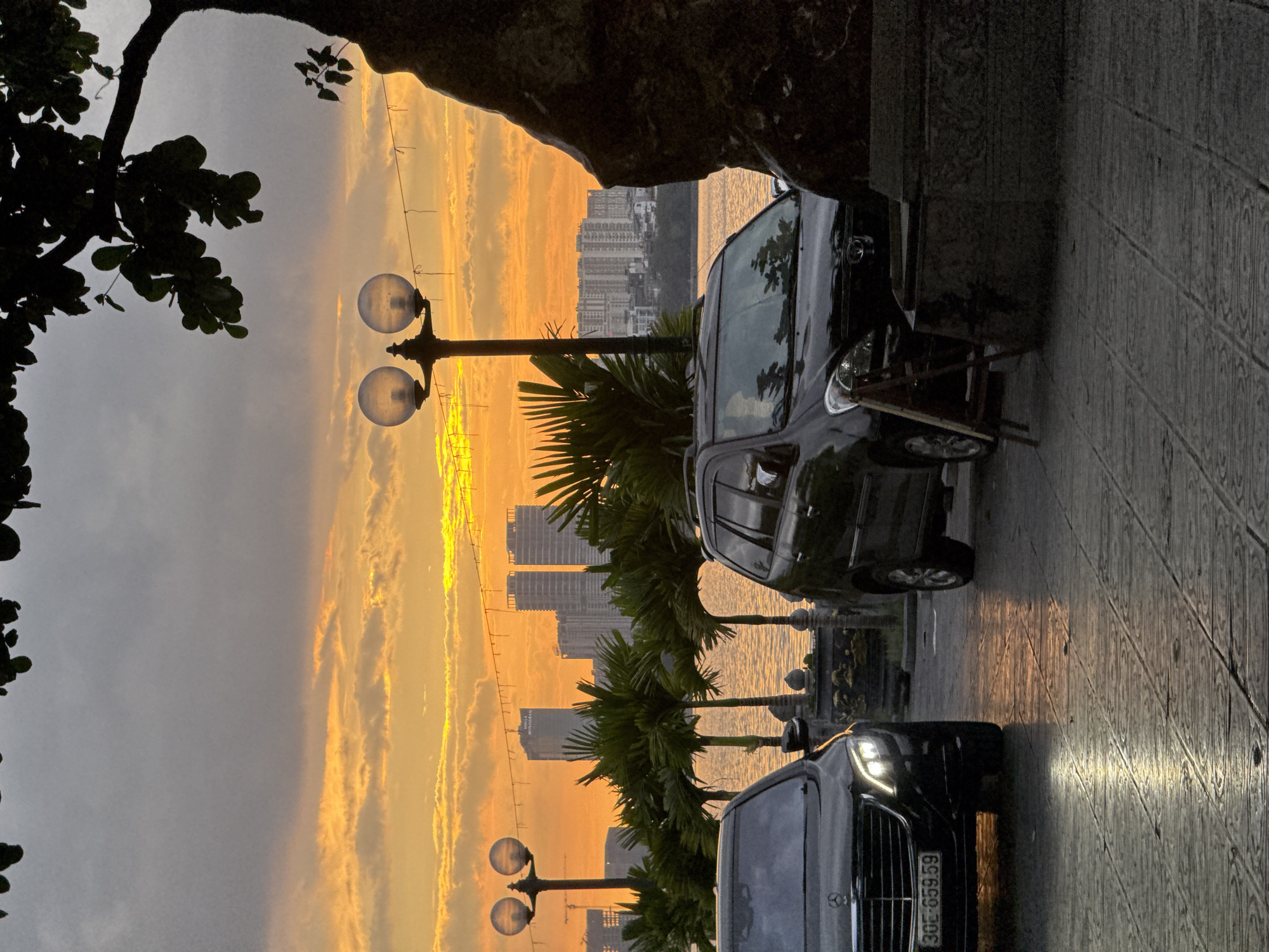 This image depicts a street scene in Hà Nội, Vietnam, during sunset. The sky is filled with vibrant orange and yellow hues, indicating the time of day. The foreground is dominated by two black cars, one in front of the other, parked on a wet, paved walkway. The wetness of the pavement suggests recent rain or damp conditions.
To the left of the cars, a street lamp with two globes stands tall. In the background, a body of water, likely a river or lake, is visible, reflecting the colors of the sky. Across the water, a cityscape with numerous tall buildings is silhouetted against the colorful sky. Palm trees line the waterfront, adding a tropical element to the scene.
On the left side of the image, the dark silhouette of a tree with large leaves partially obscures the view of the sky. The overall mood of the image is serene and atmospheric, enhanced by the warm glow of the sunset and the reflections on the wet ground.
Visible text on the license plate of the front car reads "30E-659.59".