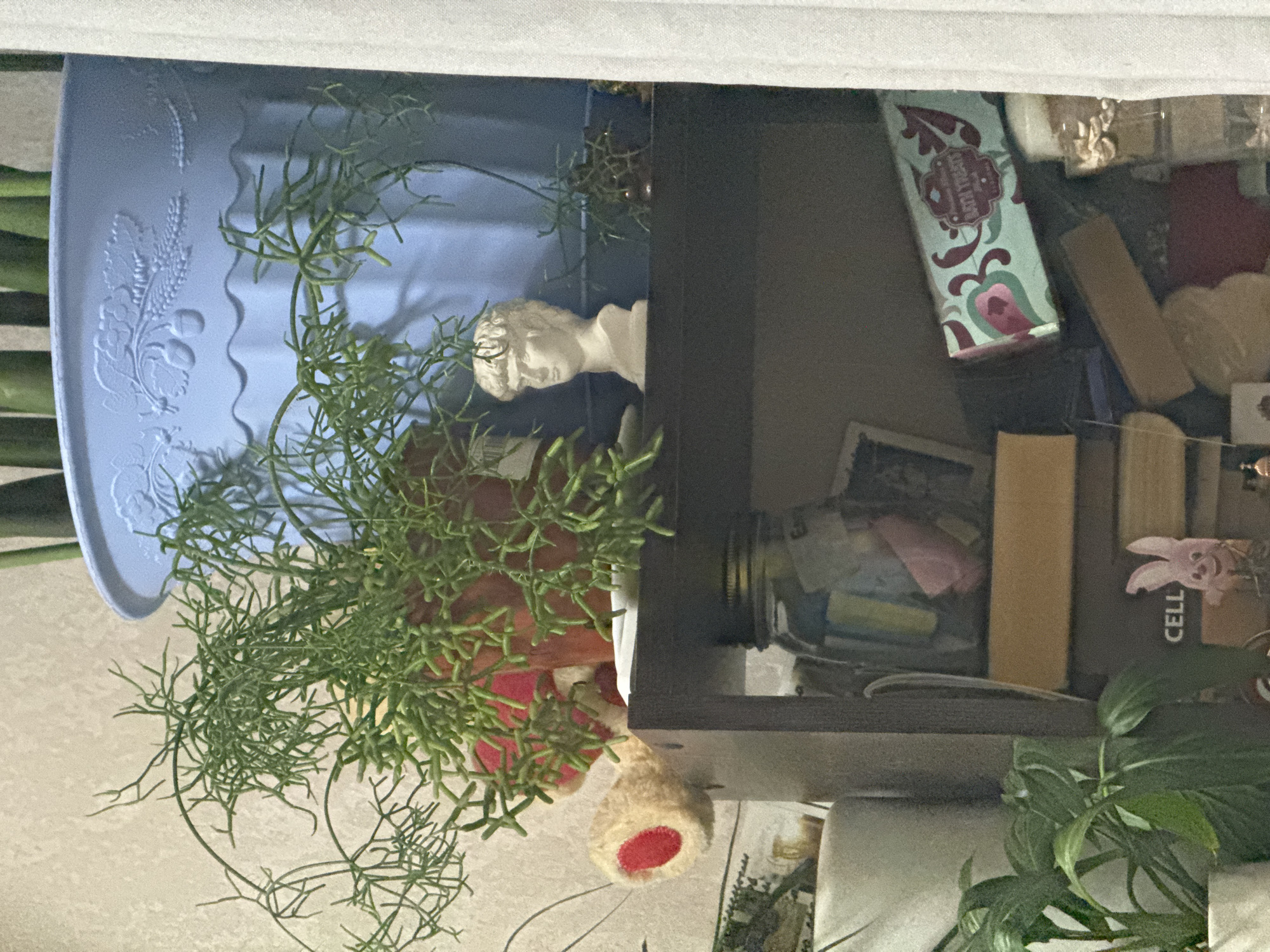The image shows a shelf in a room, likely a home, containing various decorative objects and plants. A light blue planter with embossed designs holds a green, wispy plant. Next to it, a small white bust of a head rests on the shelf. To the left of the bust, a tan and red fuzzy object, possibly a toy, is partially visible. Below this upper shelf, a dark brown shelf holds a glass jar filled with colorful items, some small framed pictures, and a box of "BATH TREATS" with a floral design. A stack of books is also present on this shelf, with a small pink bunny figure and the word "CELL" visible on one of the books. Further down, parts of other plants and objects are visible. There is no indication that this scene is located in Izhevsk, Russia.