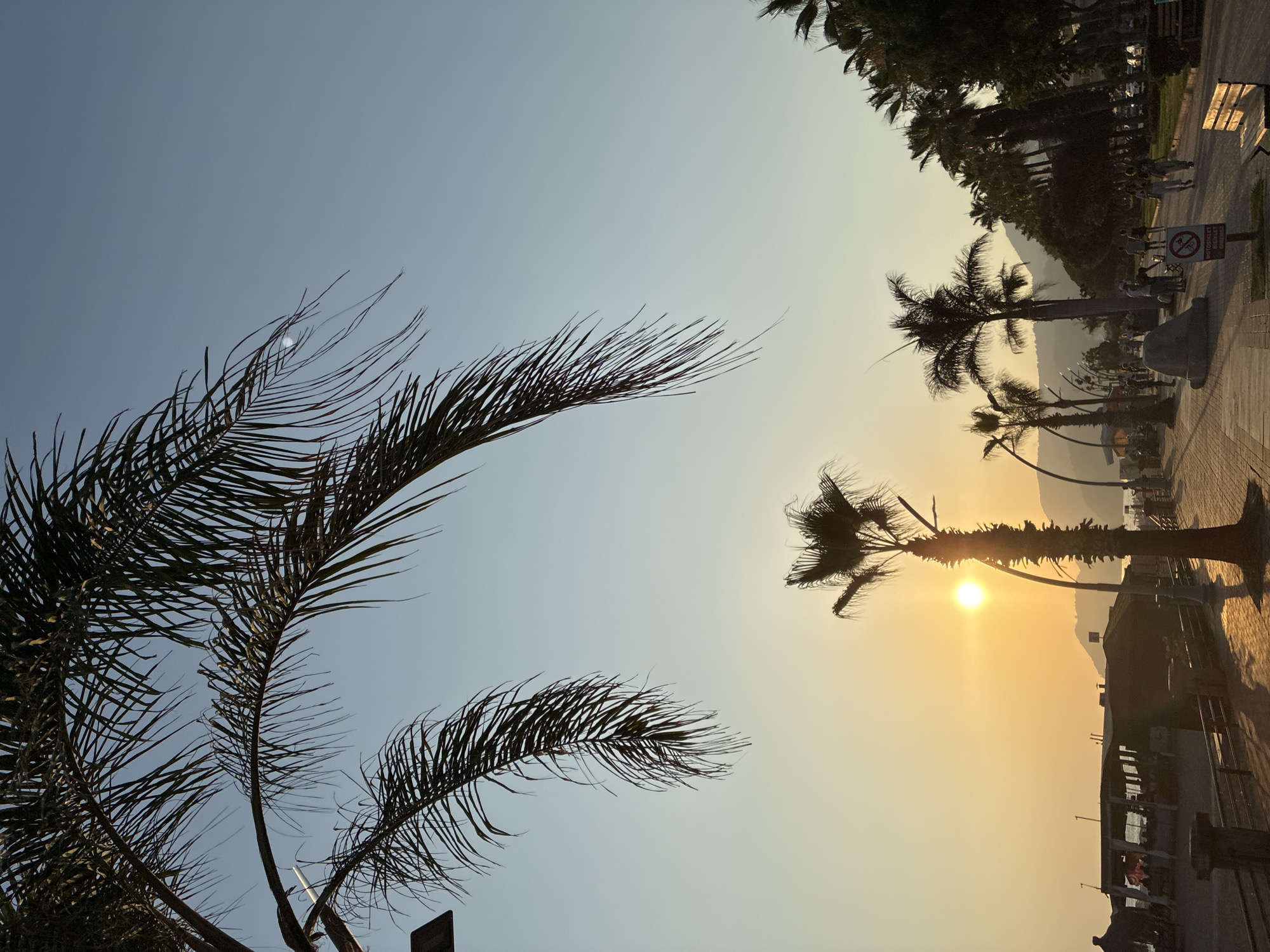 The media file depicts a sunset scene with palm trees. In the foreground, large, dark palm fronds fill the left side of the frame, silhouetted against a clear, pale blue sky. As the eye moves to the right, the sky transitions to a warm, hazy yellow and orange hue, indicating the setting sun. A single palm tree stands prominently in the middle ground, its silhouette sharply defined against the bright, low-hanging sun. The sun itself is a radiant, yellow orb, its light casting a warm glow across the scene.
Beyond the palm tree, a paved walkway or promenade stretches into the distance, lined with more palm trees and lush greenery. Several people can be seen walking along the path, their figures small and indistinct. A park bench is visible on the right side of the walkway. In the far background, hazy mountains rise against the horizon. The overall atmosphere is tranquil and serene, evoking a sense of a warm, late afternoon or early evening in a coastal resort town.
The image appears to be taken in Alanya, Turkey, as suggested by the presence of palm trees and a coastal promenade, common features of the region. The weather is clear, with a gentle haze contributing to the soft, diffused light of the sunset. There are no discernible emotions overtly expressed, but the scene conveys a feeling of relaxation and natural beauty. A small sign with a red circle and a diagonal line through it, possibly indicating a prohibition, is visible near the pathway.