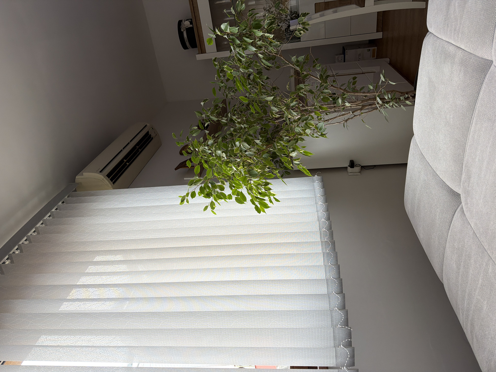 The image shows a room interior. The view is oriented toward a window covered with closed white blinds. In front of the window is a potted ficus tree with green and white variegated leaves. An air conditioning unit is mounted on the wall above the blinds. A white sofa is partially visible in the right part of the image. In the background, there is a white shelving unit with items on it.
Based on the presence of the ficus tree and the style of window blinds, the room appears to be located in a residential building in Plovdiv, Bulgaria.