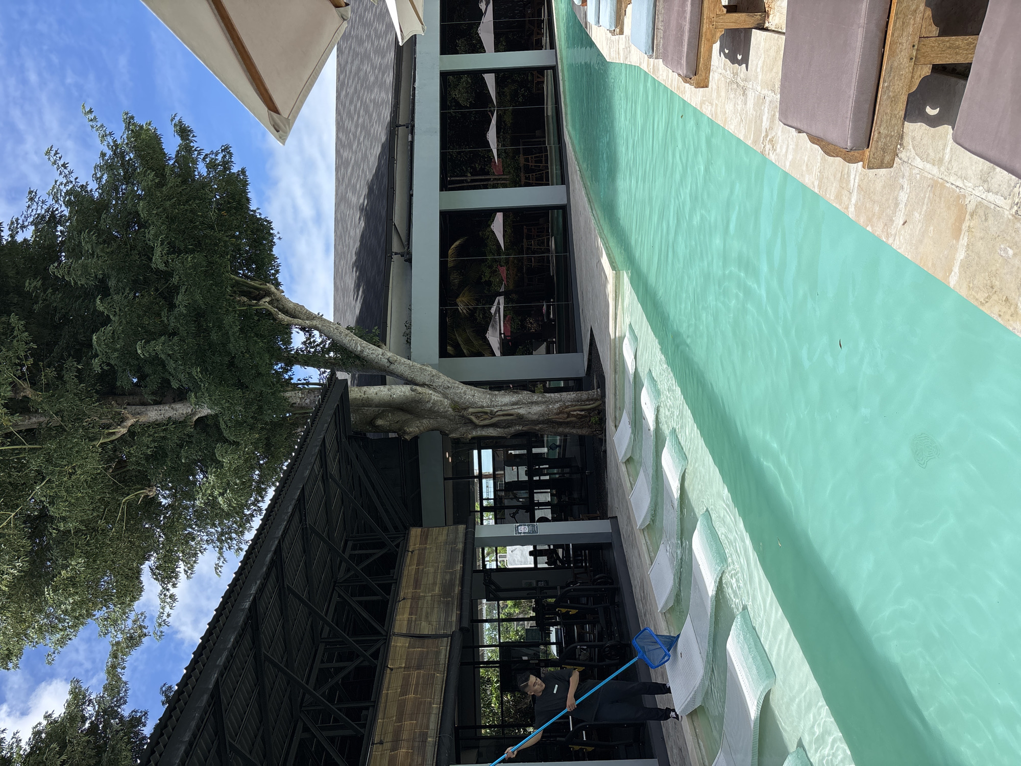 The image shows an outdoor scene in Kuta Selatan, Indonesia, featuring a modern architectural structure integrated with a large tree. A person in a black outfit is seen cleaning a narrow swimming pool with a blue net. The pool runs alongside a building that has large glass windows. Beyond the pool, there are sun loungers. A large tree branch extends horizontally across part of the building's structure. The sky is visible through the tree branches.