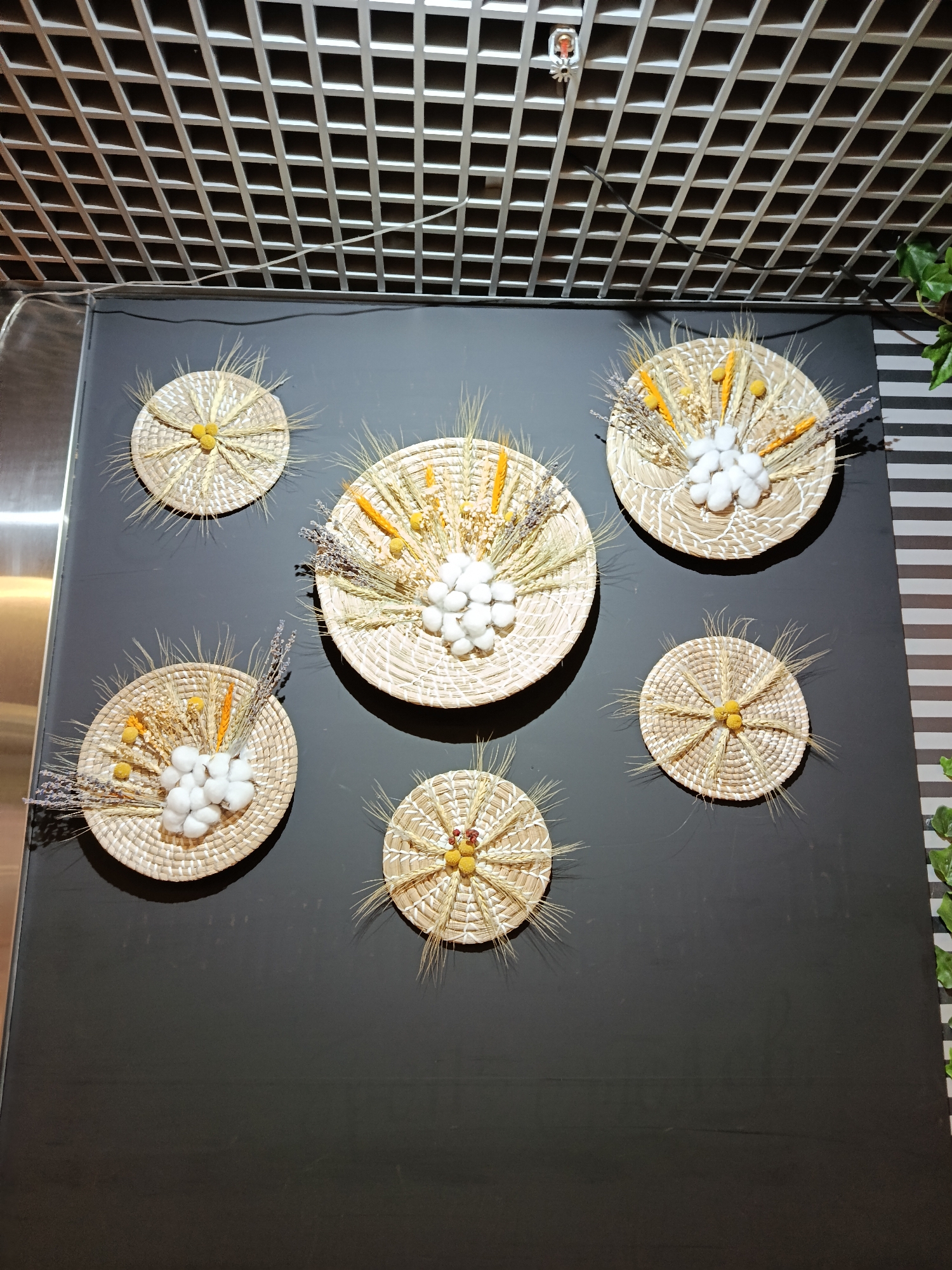 The image depicts a decorative arrangement on a dark grey wall under a checkered ceiling, likely indoors. There are six woven straw platters of varying sizes, each adorned with dried wheat, yellow and lavender flowers, and balls of cotton. The largest platter is centrally located, with the other five arranged around it. There is no evidence to confirm that this image was taken in Moscow, Russia.