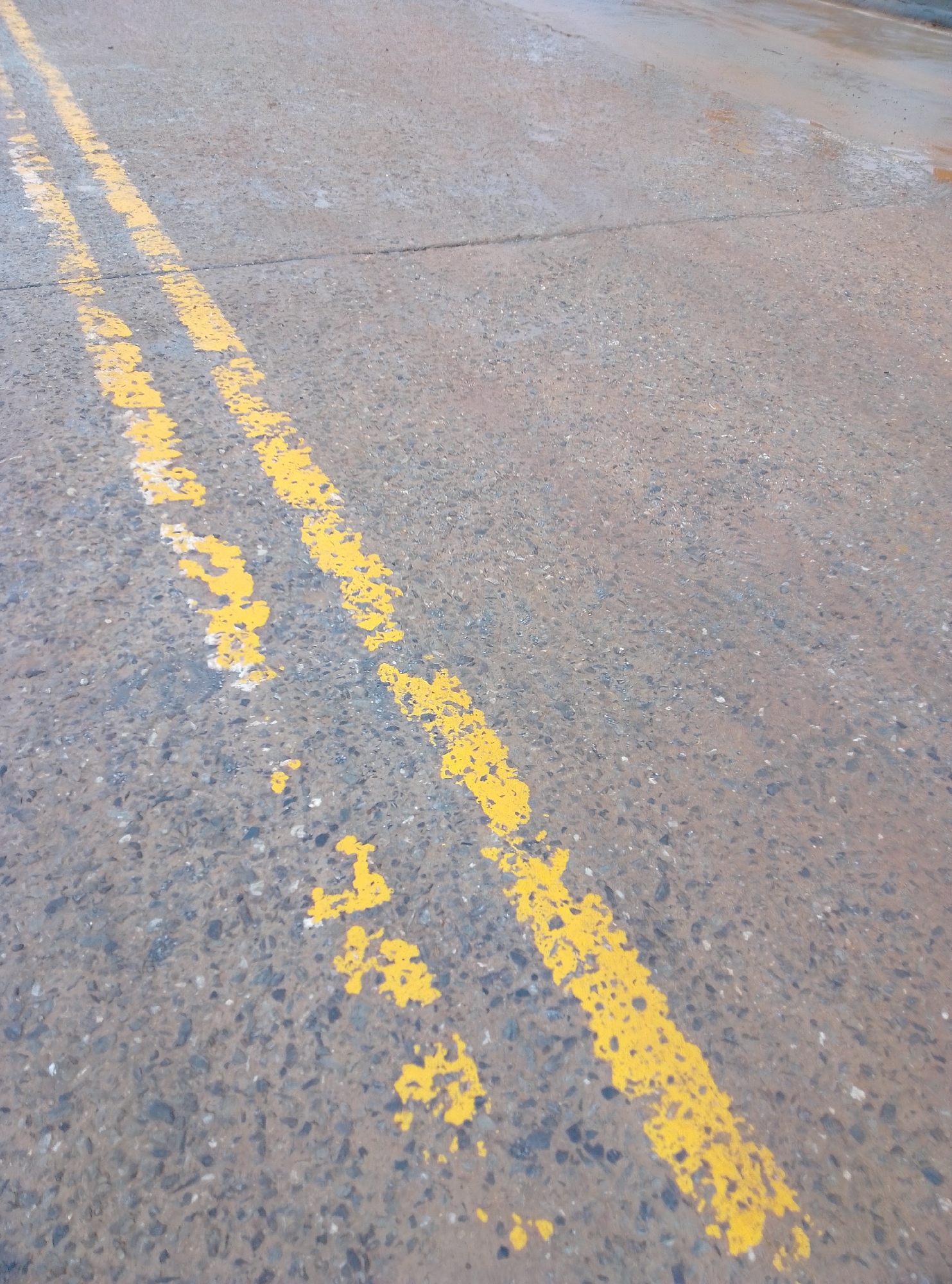 The image presents a close-up, low-angle view of a damp, grey asphalt or concrete road surface. Two parallel, worn yellow lines run diagonally across the frame, originating from the bottom left corner and extending towards the upper left. These double yellow lines show significant signs of wear and tear, with considerable patches of paint chipped, faded, or missing, revealing the underlying dark, pebbled texture of the road.
The road surface itself is composed of small, varied-colored aggregate stones embedded within the grey material, clearly visible due to the close perspective. Patches of moisture and wetness are apparent on the surface, particularly in the upper right portion of the image and along streaks on the left, suggesting either recent rainfall or a generally damp environment. The lighting indicates it is daytime, but the exact time of day or specific weather conditions beyond dampness cannot be determined. There are no people, vehicles, or other identifiable objects in the scene. No visible text is present.