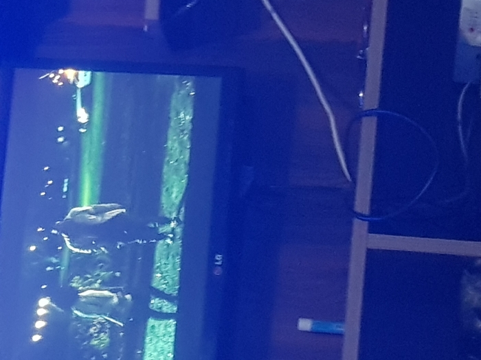 An LG television displays a scene with dark figures and what appear to be reflections in water, illuminated by bright lights. The screen is set against a dark wooden surface. A white cord dangles from the top of the frame near a shelf, while a blue cable is looped and attached to the shelf structure. A glue stick sits horizontally beneath the frame.