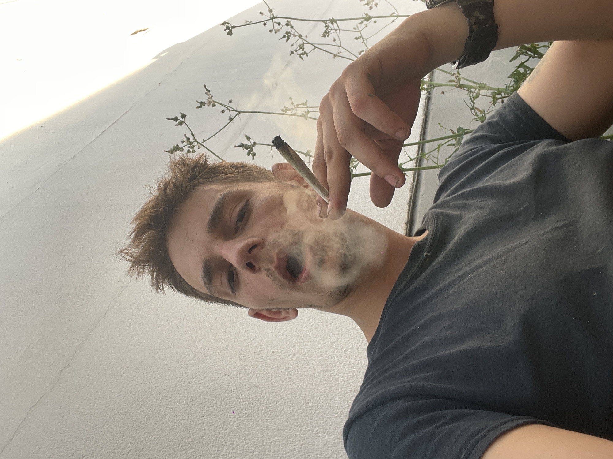 In an outdoor, low-angle shot, a young man with short, light brown hair exhales a cloud of smoke while holding a lit cigarette in his right hand. He is wearing a dark gray t-shirt and a camouflage watch on his left wrist. The background consists of a textured, light-colored wall and thin, green plants. The lighting suggests it is daytime, possibly late afternoon.