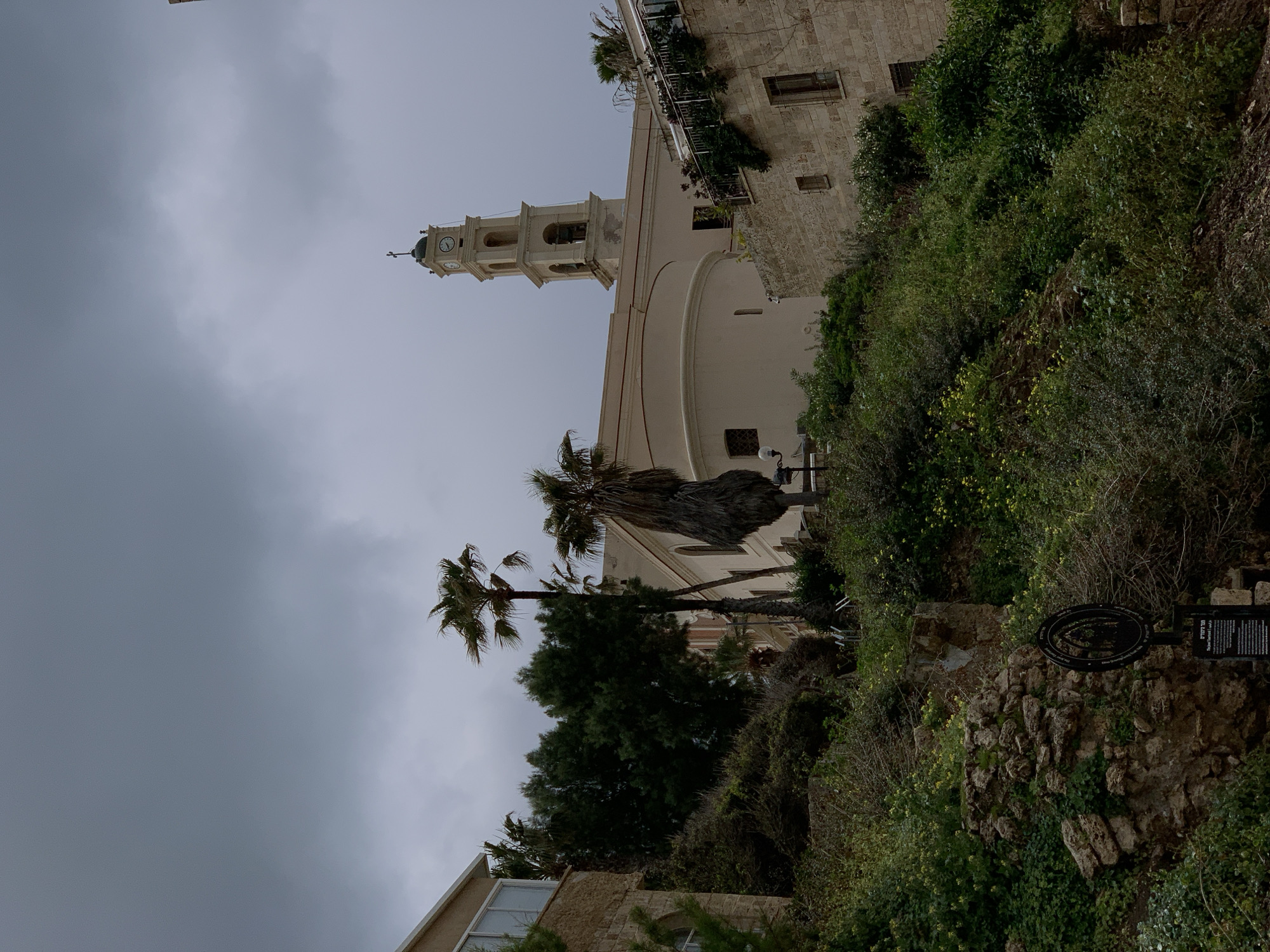 The image displays an exterior scene in Old Jaffa, Tel-Aviv, Israel, under a heavily overcast, dark grey sky. The focal point is St. Peter's Church, a light-colored, stuccoed structure with a prominent octagonal clock tower topped by a green dome and a Latin cross, positioned towards the upper-center. The tower features clock faces on at least two visible sides and arched bell openings.
The foreground and midground are dominated by a steep, overgrown hillside covered in dense green foliage, including numerous shrubs, bushes, and scattered yellow-flowering plants. Several palm trees rise from the slope, with one prominent palm showing a skirt of dead fronds. Exposed sections of ancient stone walls or foundations are visible within the vegetation on the hillside.
To the right of the church, a multi-story building constructed of light brown, rough-hewn stone blocks features multiple rectangular windows and an upper-level balcony with metal railings supporting potted plants. On the far left, a partial view of another building reveals stone cladding on its lower section and a large window with white frames on an upper floor. In the lower-left quadrant, a dark, circular informational sign on a post, bearing text in Hebrew, is partially obscured by the dense greenery. No individuals are present in the scene.