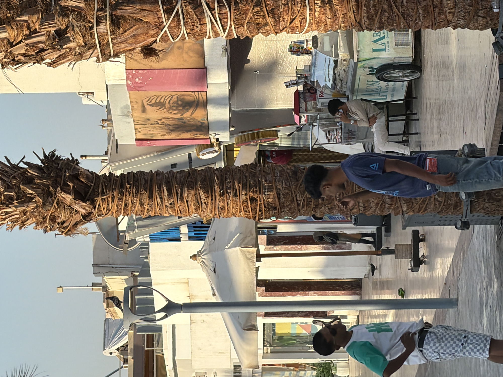 The image captures a street scene in Sharm El Sheikh, Egypt, bathed in the warm light of what appears to be late afternoon or early morning. Dominating the foreground are two thick, textured palm tree trunks, their rough surfaces crisscrossed with visible fibers and bound by white rope. To the left, a young man stands with his hands on his hips, wearing a white t-shirt with a green trim on the sleeves and a checkered pattern on his shorts. He is looking to his right, seemingly engaged in a conversation with another person just out of frame.
Further into the scene, a second young man stands facing away from the camera, talking on his phone. He is dressed in a dark blue t-shirt and blue jeans. Behind him, a man in a light-colored shirt and white pants sits on a chair, also engaged in a phone conversation. They are situated near an ice cream cart labeled "La Rose Ice Cream – Desserts," which is white and green with a mirrored serving counter. The cart is stocked with various items, including bottles and containers.
The background reveals a typical streetscape of Sharm El Sheikh, with white buildings, some featuring blue accents. An open umbrella provides shade over an area with tables and chairs. A lamppost stands to the left of the frame, and a pigeon is perched on top of it. Another pigeon is visible on the ground in the mid-ground. A small black statue of a person in uniform stands near a wheeled cart. The ground is paved with light-colored tiles that reflect the surrounding light and architecture. The overall atmosphere suggests a leisurely day in a warm climate.