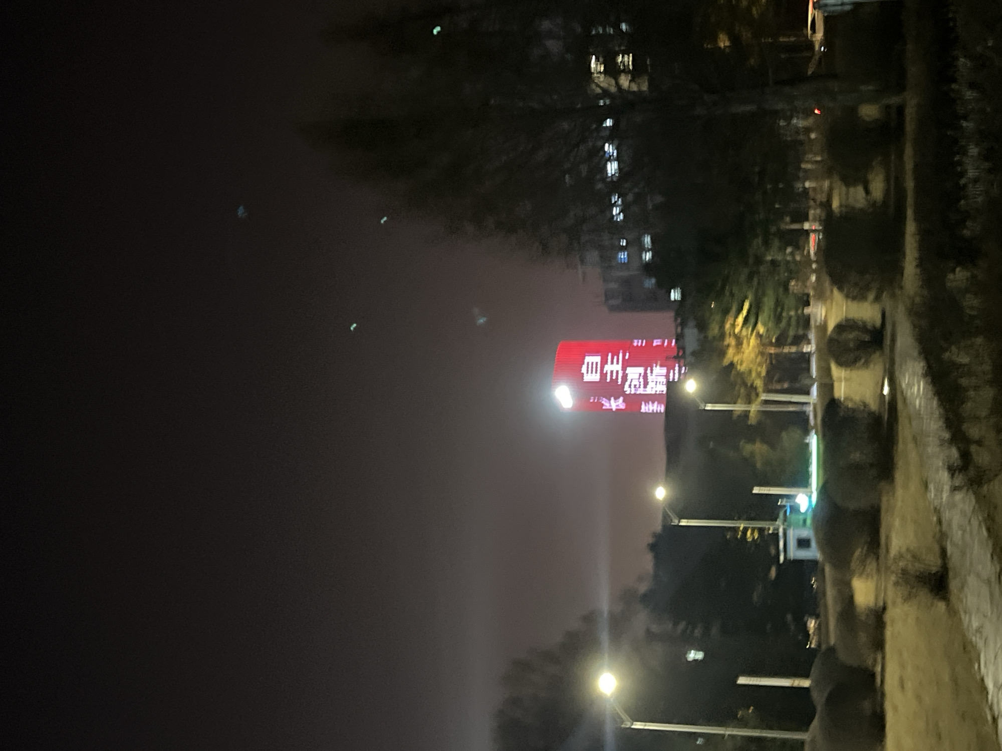 The image shows a nighttime street scene in Changchun City, China. A large red LED sign with Chinese characters is visible in the middle distance. Streetlights illuminate the road and sidewalks. Trees and buildings line the street. The image is taken from a low angle, possibly from the sidewalk. A tall building is visible in the background. The sky is dark and overcast.