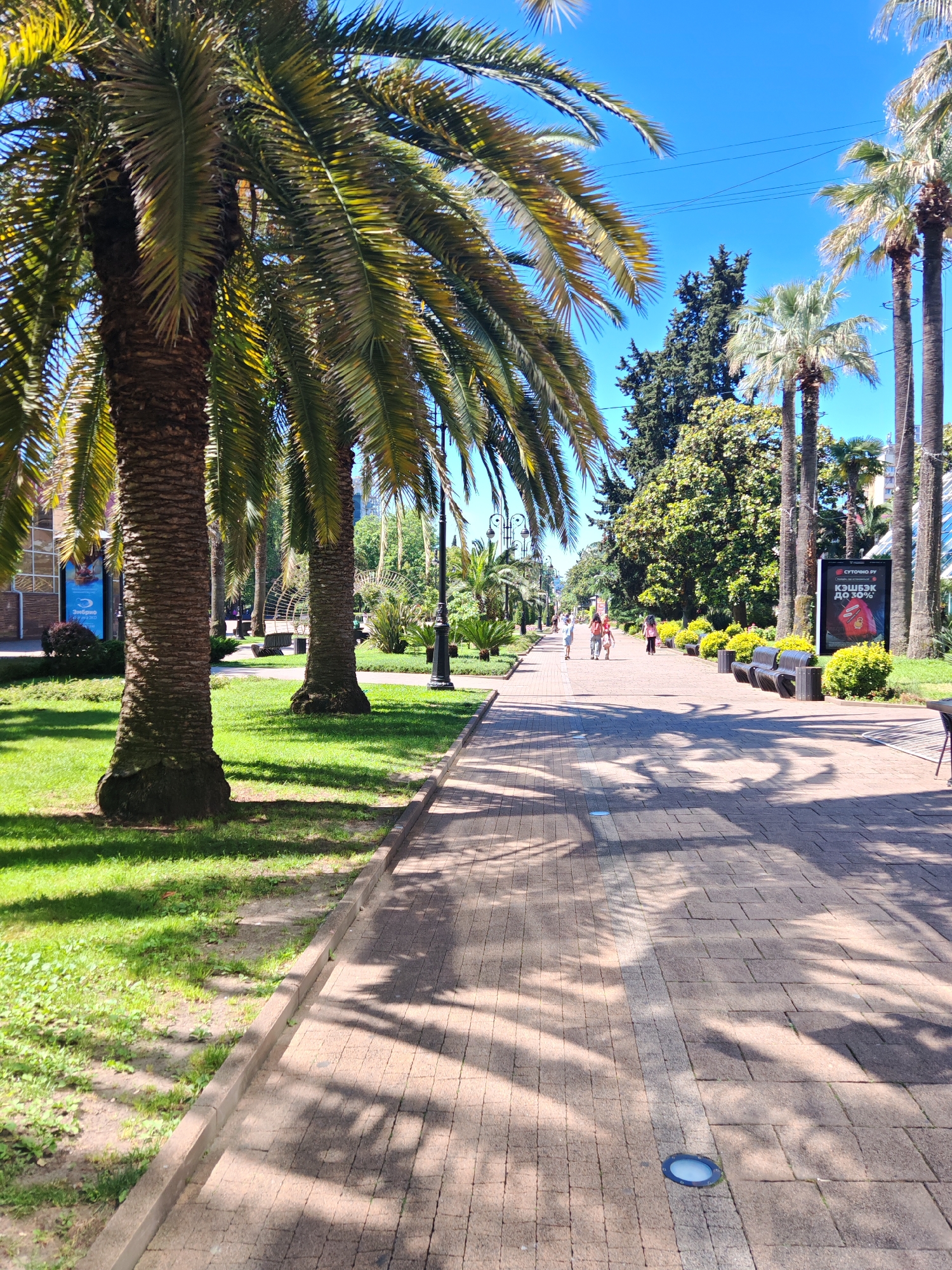 The image captures a sunlit, wide pedestrian promenade or park pathway lined with numerous tall palm trees and lush greenery. The perspective is slightly elevated, looking forward along the path on a clear day with a bright blue sky.
In the immediate foreground, a light-colored paved walkway, constructed from rectangular interlocking pavers, extends into the distance. Distinct, elongated shadows from the palm trees on the left side stretch across the path. Two circular, blue-rimmed ground-level lights are embedded in the pavement. To the left of the walkway, a strip of vibrant green grass is visible, along with some patches of bare earth. A concrete curb separates the grass from the pavement.
Moving into the mid-ground, the promenade is framed by multiple large palm trees featuring thick, textured brown trunks and dense green fronds, some with yellowish tips due to sunlight. On the right side of the path, several dark-colored public benches are spaced out, interspersed with manicured green shrubs. Further along the right, a large vertical digital billboard displays text in Cyrillic, including "СУТОЧНО РУ" and "КЭШБЭК ДО 30%". On the left, partially obscured by palm trees, a building with a blue sign is visible. Several individuals, appearing to be adults, are seen walking leisurely along the paved path in the mid-distance. Black, decorative streetlights are intermittently placed along the sides of the promenade.
In the background, a variety of other trees, including some with dark green coniferous foliage and lighter green deciduous leaves, contribute to the dense green landscape. The sky above is a uniform, bright azure, with a few thin overhead lines visible. The overall scene suggests a well-maintained urban park or resort area in a warm climate, likely in a region where Cyrillic script is used, given the billboard text. The location within the city of Unknown, Unknown, cannot be determined from the image alone beyond these details.