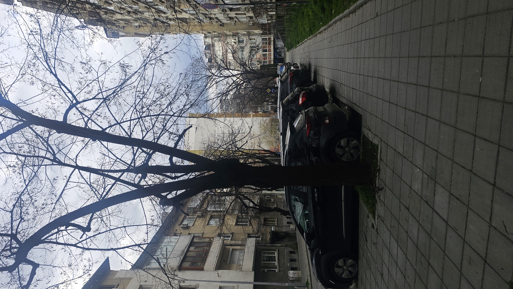 The image depicts a street scene in Varna, Bulgaria. A row of parked black cars lines the right side of the frame, adjacent to a paved sidewalk. A tree with bare branches dominates the left side of the image, obscuring some of the view of the buildings on the opposite side of the street. The buildings appear to be older residential structures with visible signs of wear and tear. The sky is overcast.