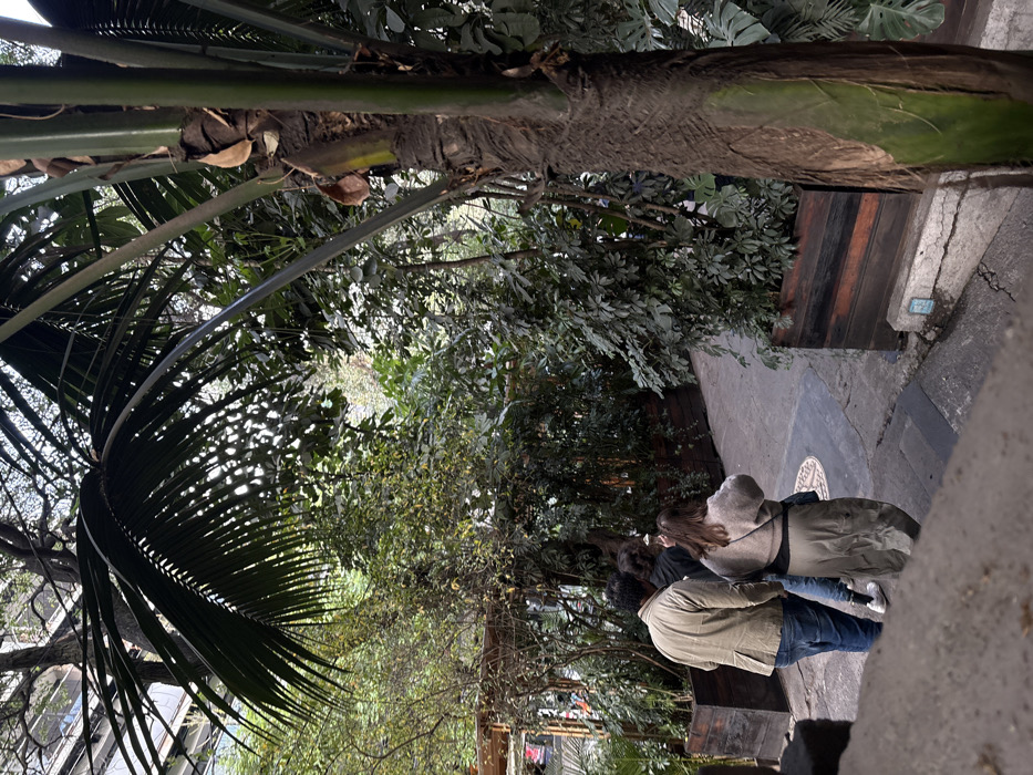 Three people stand on a paved pathway next to lush greenery, including a large palm. One person wears a tan jacket and jeans, another a gray sweater and khaki pants. The third person is partially obscured between them. A building with wooden slats and a green plaque lines the pathway on one side, with dense foliage visible in the background. Palm fronds extend over the path.