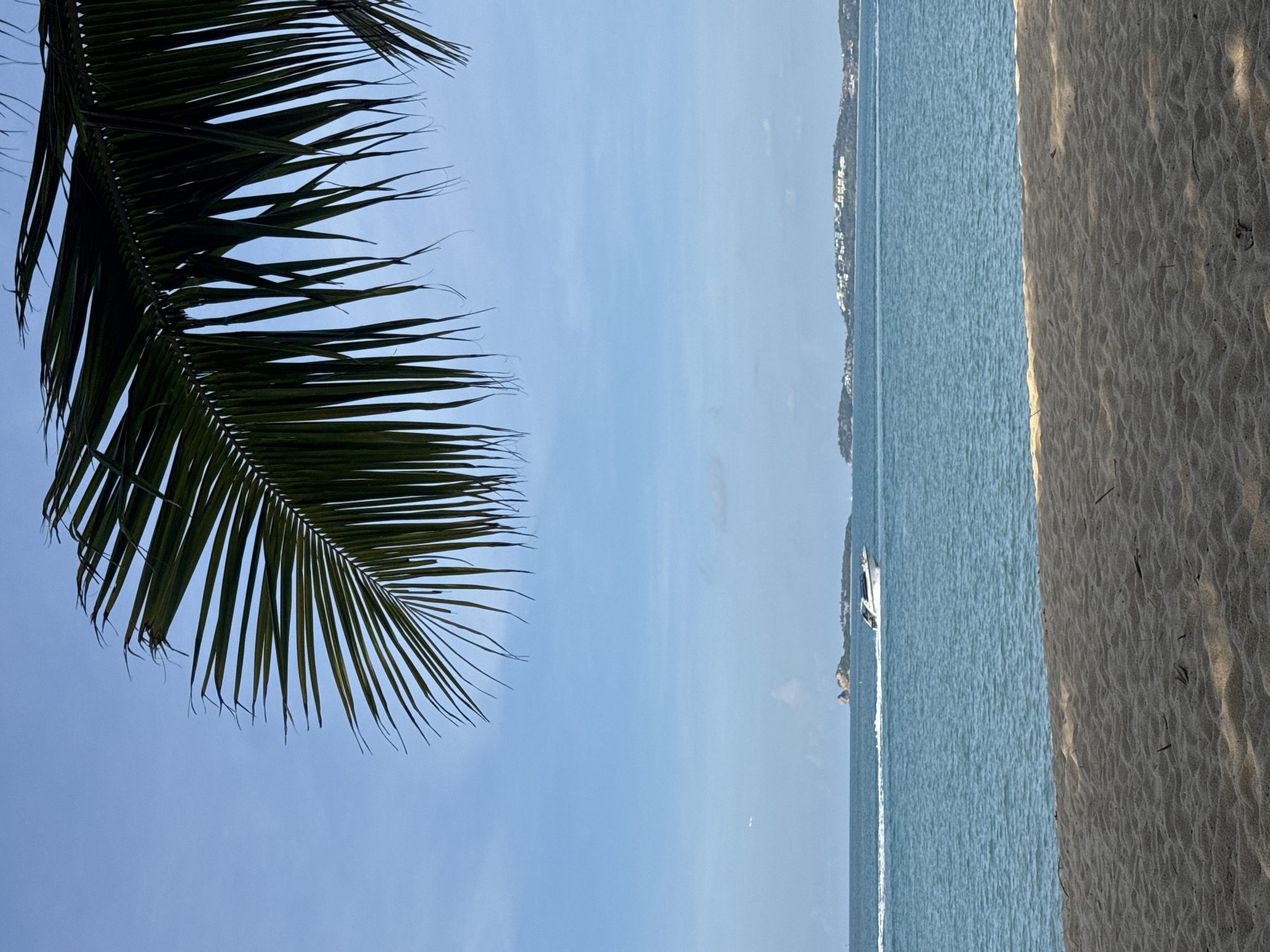 The image depicts a serene beach scene in Koh Samui District, Thailand, likely during daylight hours given the clear blue sky and bright lighting. In the foreground, a sandy beach with visible ripples and scattered dry vegetation stretches across the lower portion of the frame. Above the sand, a body of tranquil blue water, representing the sea, occupies the middle section of the image. A white speedboat is captured in motion on the water, leaving a visible wake behind it, suggesting moderate speed. In the distance, a chain of islands is visible, dotted with white buildings, indicating a populated coastal area or resort. The upper part of the image is dominated by the bright blue sky, partially obscured by the dark green fronds of a palm tree that hangs from the top edge, creating a natural frame for the scene. The overall impression is one of a tropical, coastal landscape.