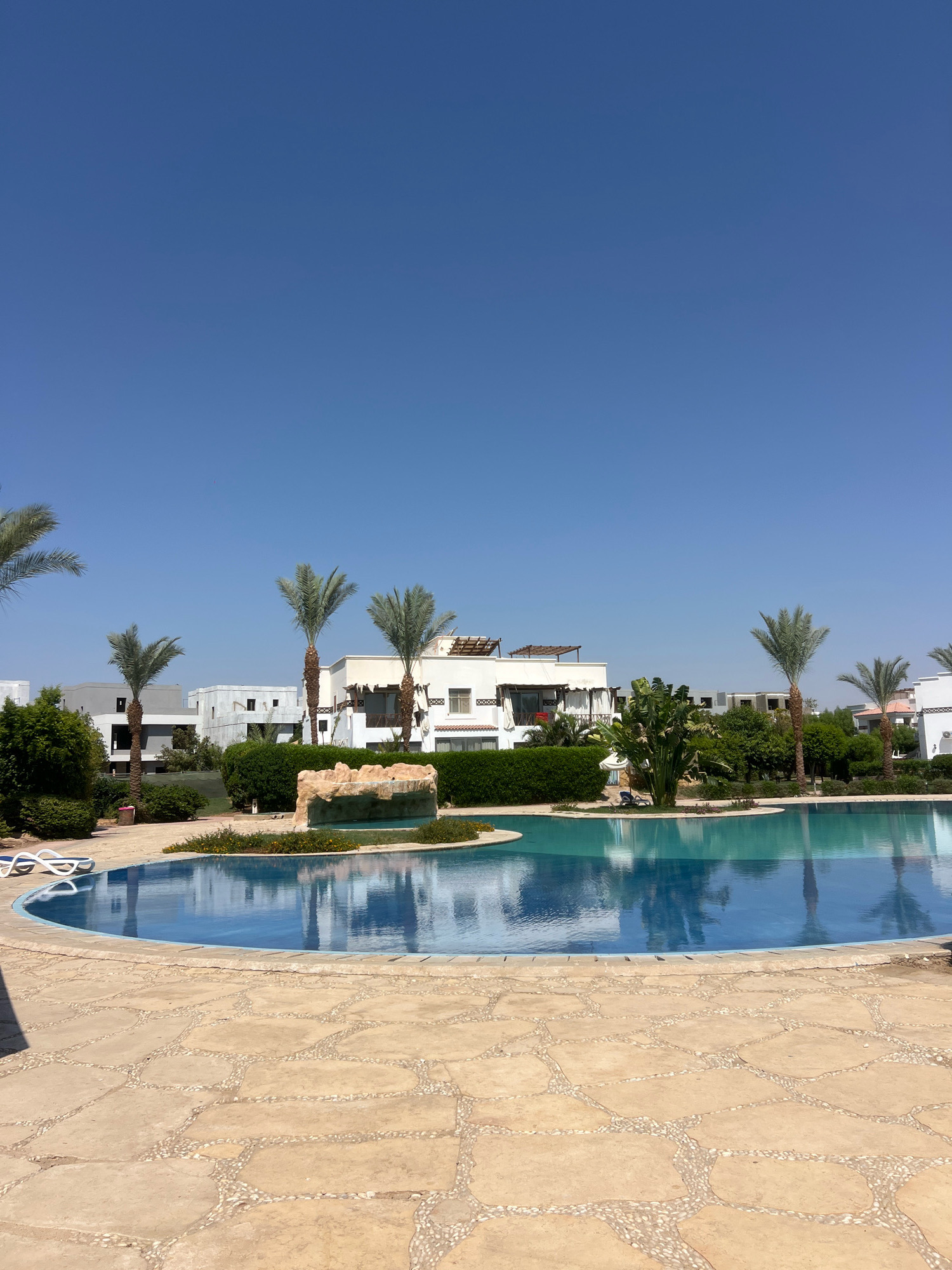 The image depicts a resort swimming pool area on a clear day, likely in Sharm El Sheikh, Egypt, given the architectural style and vegetation. The foreground features a large, irregularly shaped swimming pool with vibrant blue water, reflecting the sky and palm trees. The pool's edge is surrounded by a light-colored stone patio with a cobblestone-like grout. To the left of the pool, white lounge chairs are visible.
In the mid-ground, a meticulously manicured green hedge forms a backdrop. Behind the hedge, several palm trees of varying heights are interspersed with lush green bushes and trees. A light-colored, rocky water feature is situated within the pool area.
In the background, several multi-story buildings with flat roofs, balconies, and white facades are visible. These buildings have a modern resort aesthetic. The sky above is a clear, deep blue, indicating fair weather. There are no people visible in the image. The overall scene conveys a sense of a tranquil and well-maintained resort environment.