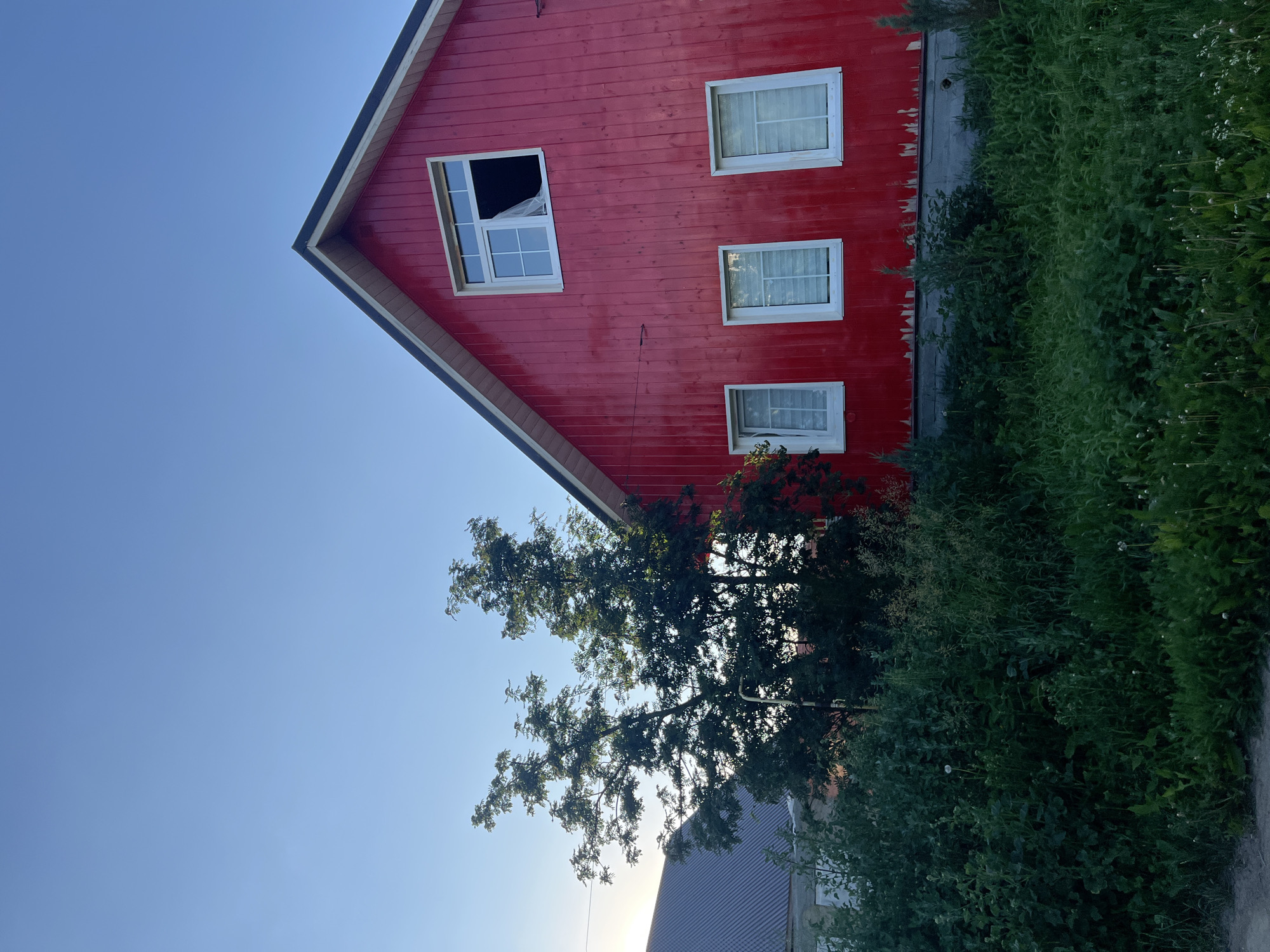 A red, wooden, two-story house stands in a grassy area under a clear blue sky. The house has a dark, peaked roof and several white-framed windows. One window on the upper floor is open and appears to have a broken pane with a white cloth draped inside. A large green tree with sparse foliage is positioned to the left of the house, partially obscuring another building with a grey, corrugated roof in the background. Dense green vegetation, including tall grasses and leafy plants, surrounds the base of the red house. The image was taken outdoors, possibly in a rural or suburban setting.