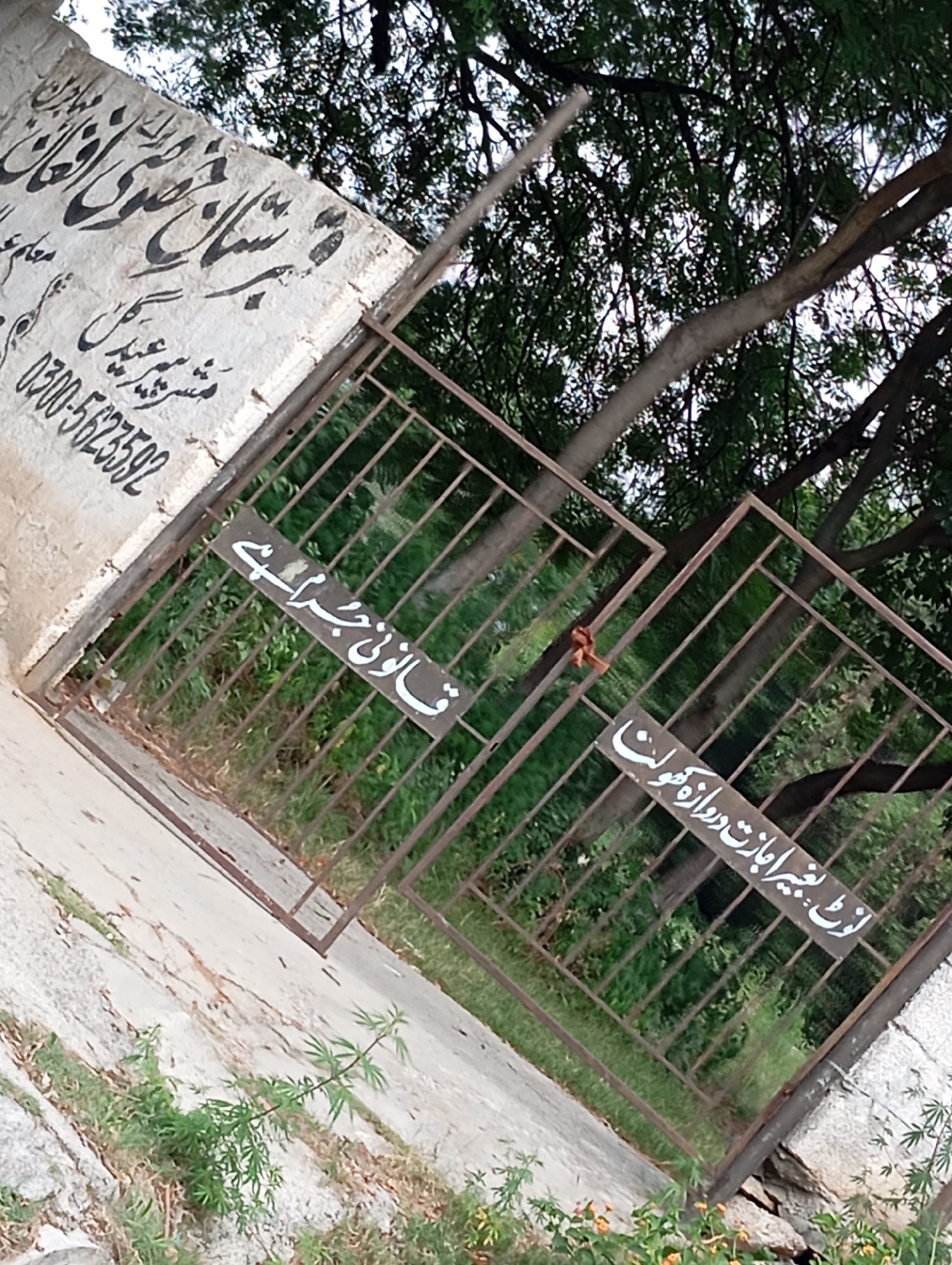 The image shows a weathered concrete wall with Arabic inscriptions and a rusty metal gate. The inscriptions on the wall appear to be in black ink. One line of text is clearly visible, reading "0300-5623592". The gate has two rectangular sections with horizontal bars and is slightly ajar. There are two white signs attached to the gate, also with Arabic writing. The sign on the left reads "قانون جربانه" and the sign on the right reads "لڑکی بغیر اجازت دروازہ کھولنا". The background consists of lush green trees and foliage. The ground is covered with concrete and patches of grass and small plants. The overall scene suggests an outdoor location, possibly an entrance to a private property or institution.