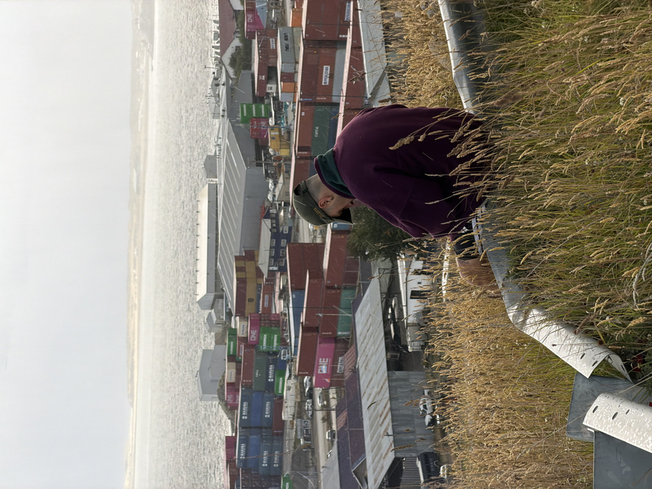 An outdoor scene captured from a high vantage point overlooking the city of Ushuaia, Argentina, and its port area. In the immediate foreground, a person is seated on a curved, grey metallic barrier or pipe, positioned amidst dry, tall, yellowish-brown grass covering a hillside. The person, viewed from behind and slightly to the right, wears a dark green baseball cap, a dark purple oversized long-sleeved shirt with a green collar visible underneath, and dark shorts. Their head is tilted downwards, suggesting focus on an unseen object in their lap or on the ground. To the left of the person, a piece of bent, perforated sheet metal, possibly part of the same barrier, lies in the grass.
The midground reveals the Ushuaia port, densely packed with numerous multi-colored shipping containers stacked in rows and columns. Visible container colors include red, blue, green, pink, yellow, and orange. Several large industrial buildings with grey corrugated roofs are interspersed among the containers. White and grey vehicles are parked in various areas within the port compound.
Beyond the port, a body of water, likely the Beagle Channel, spans the background, with its surface showing ripples under a bright, overcast sky. On the distant horizon across the water, a faint landmass with lighter sandy or rocky patches is visible. The overall light suggests an overcast or hazy day.