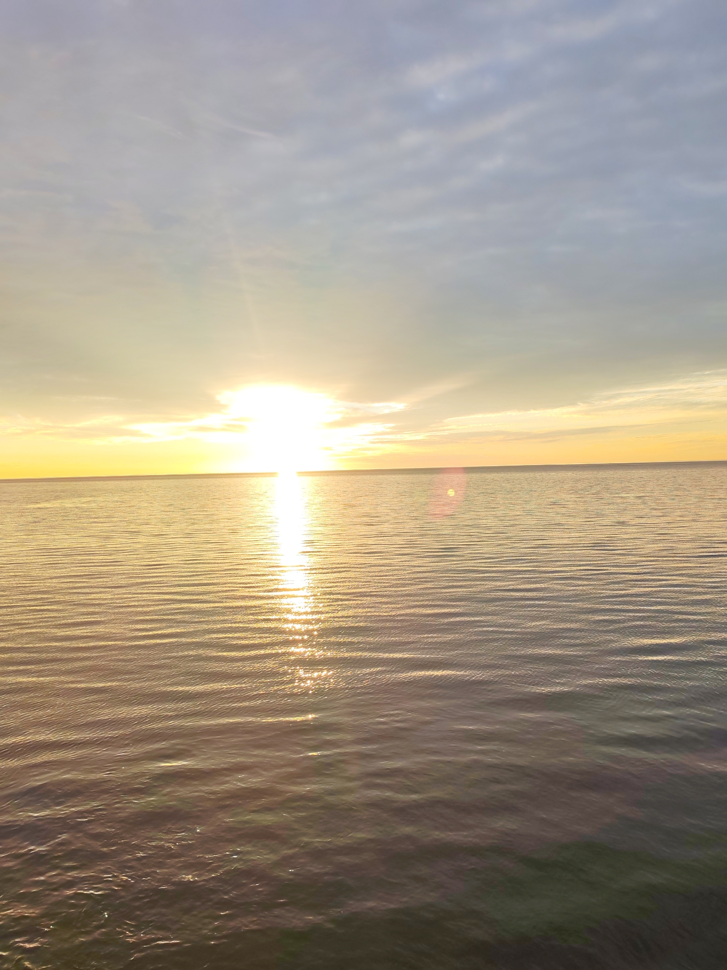 The image depicts a serene seascape at sunset. The sun, a brilliant white orb, is partially obscured by clouds and casts a shimmering golden path across the water. The sky transitions from a pale yellow near the horizon to a soft blue with wispy clouds higher up. The water is calm, with gentle ripples reflecting the light. The scene appears to be a natural landscape, with no man-made structures or people visible. The location is identified as the city of Shcheleiki, Russia.