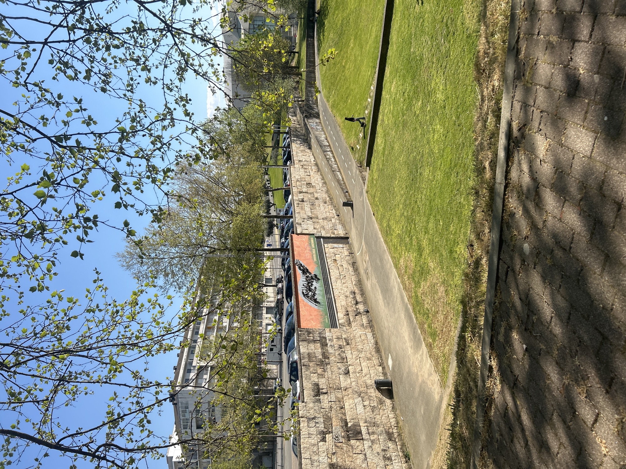 The image depicts an outdoor scene in Vila Real, Portugal. The foreground features tree branches with fresh green leaves against a clear blue sky. To the right, a pathway made of gray pavers runs alongside a narrow strip of grass, separated by a concrete curb. Beyond the pathway, a lower level reveals a grass-covered area, bordered by a low stone wall. The wall is constructed of light-colored rectangular stones.
Behind the wall, a row of parked cars lines the street, and taller buildings stand in the background. On the wall there is a sign with artwork. The scene is bathed in sunlight, casting shadows and accentuating the textures of the stone and greenery.