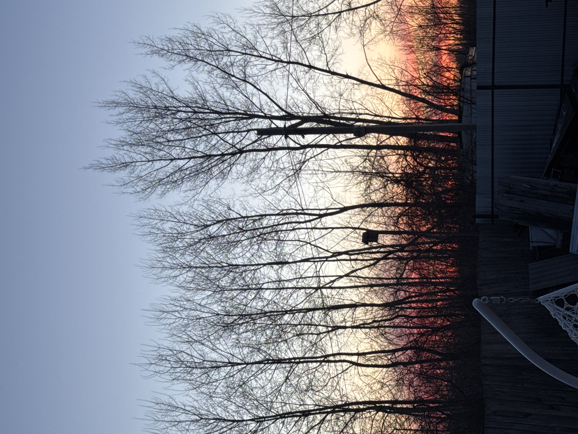 The image shows a silhouetted view of trees with bare branches against a sky with a gradient of colors, possibly during sunrise or sunset. The lower portion of the image appears to depict a wooden deck or platform with a white hammock. In the background, there is a structure that seems to be a metal building or shed. The location of Chaikovsky, Russia, is not directly discernible from the image content.