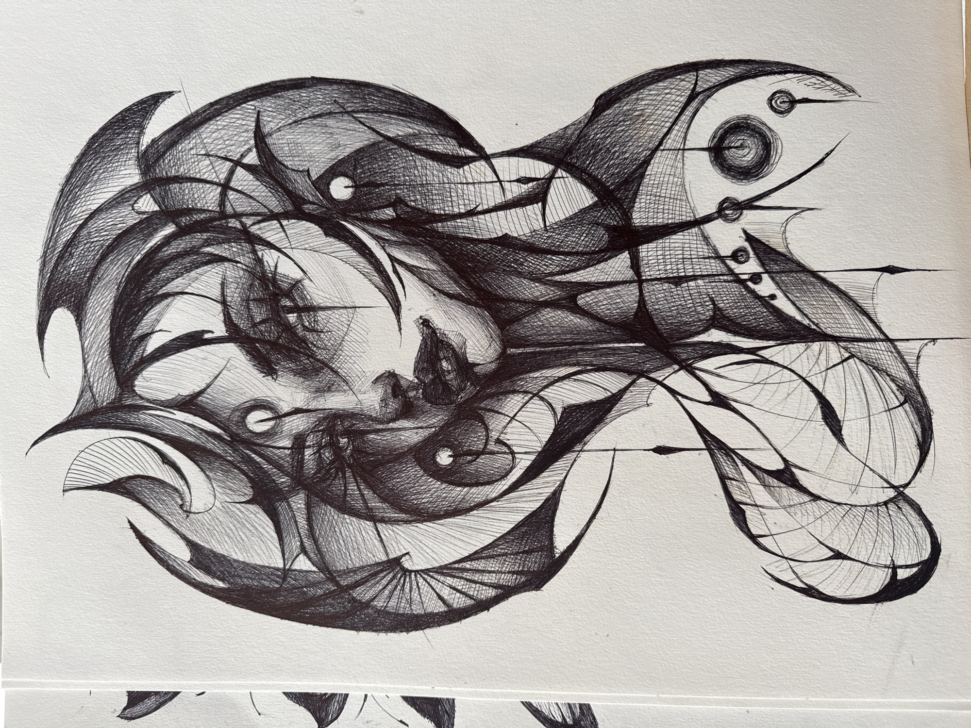The image is a black and white abstract drawing. It appears to be pen and ink, with complex lines and cross-hatching creating forms. The forms include rounded shapes and sharp points. There is no indication of the image being from the city of Sofia, Bulgaria.