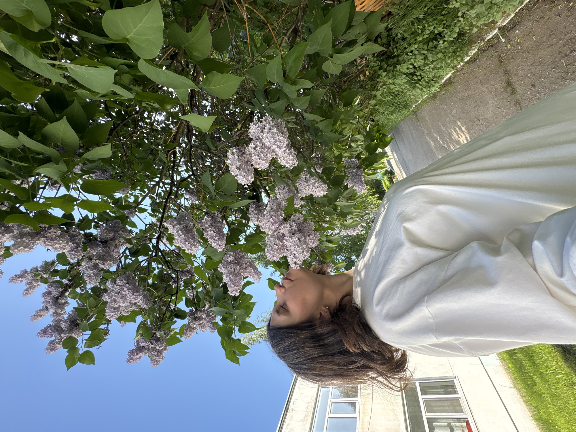 A woman is standing beneath a lilac tree, appearing to smell the flowers. The tree’s branches, abundant with purple blooms and green leaves, hang overhead against a bright blue sky. The woman is wearing a white shirt. Behind her, a building with multiple windows is visible, along with a patch of grass and a paved path. The location is Chaikovsky, Russia.